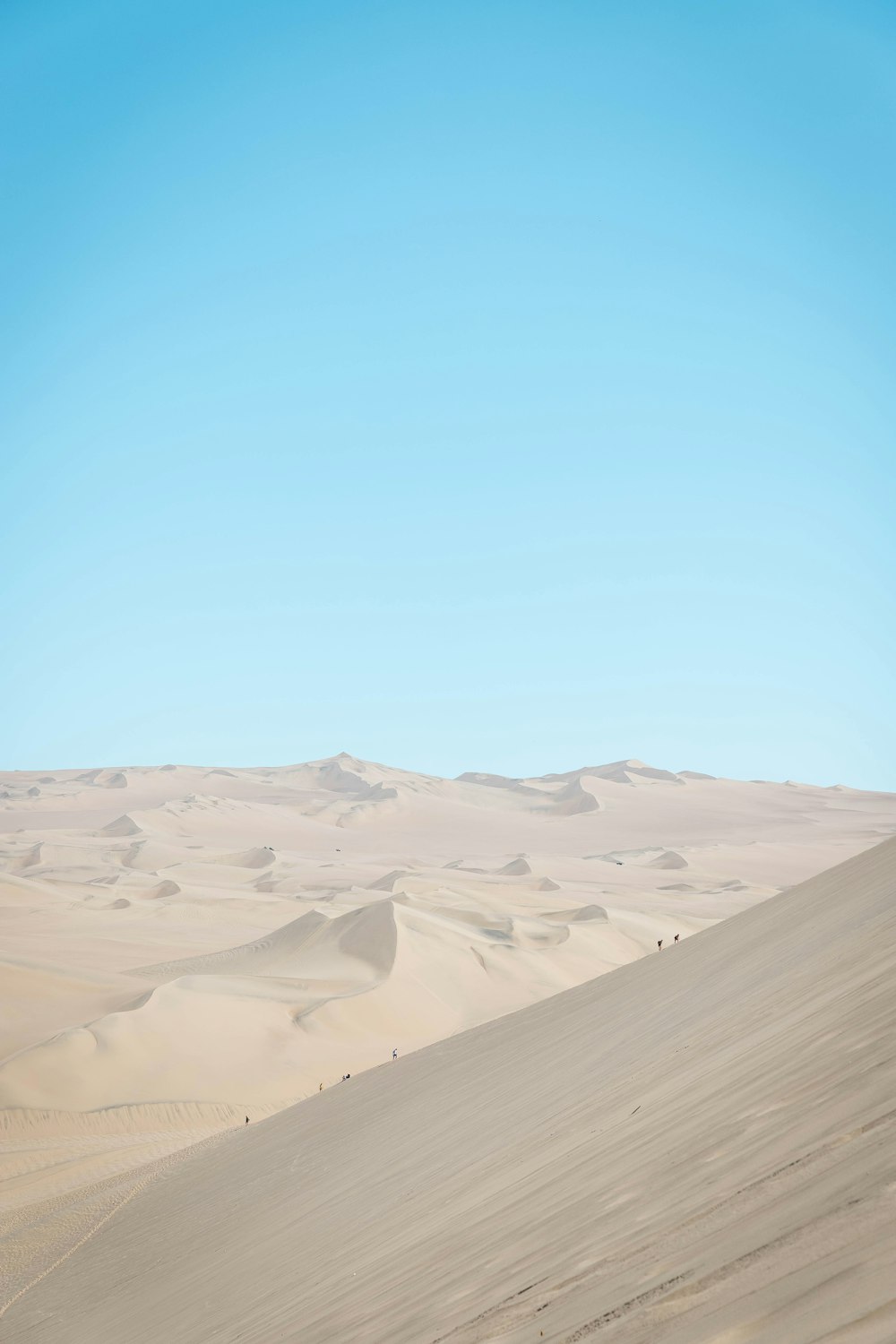 Fotografie der Wüste bei Tag
