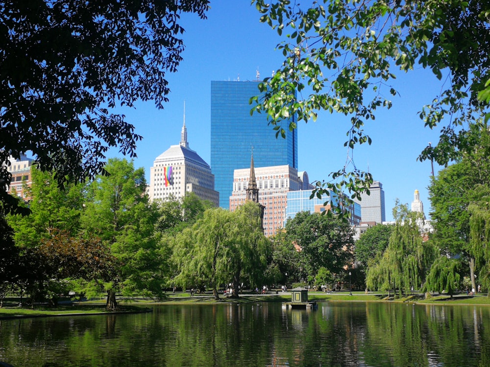 lake and buildings