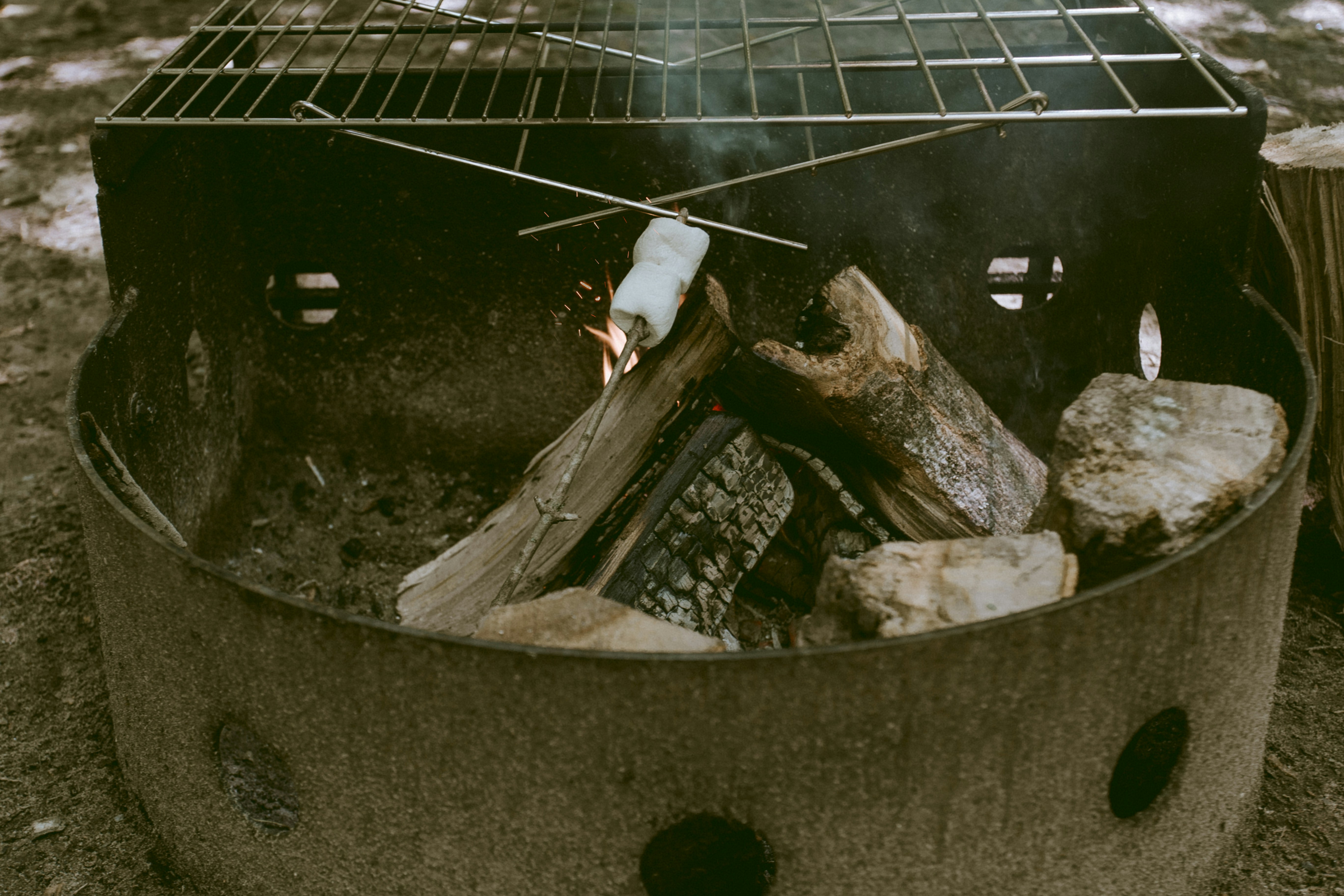 Photo by natashareddy