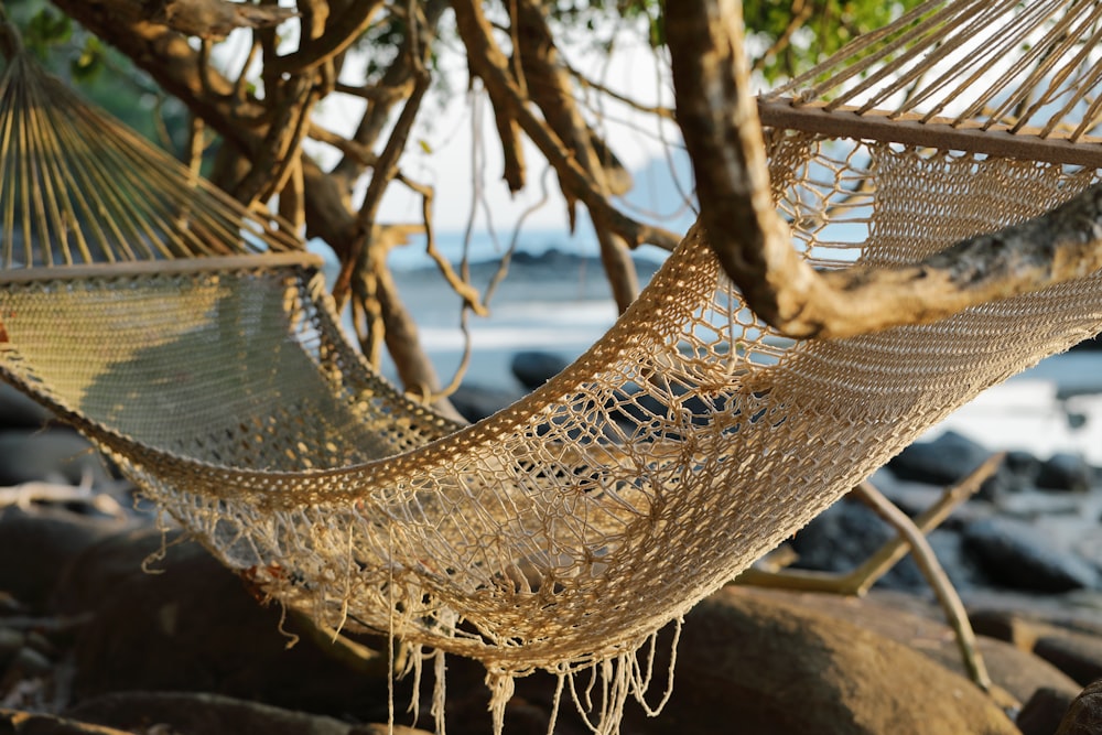 brown knit hammock