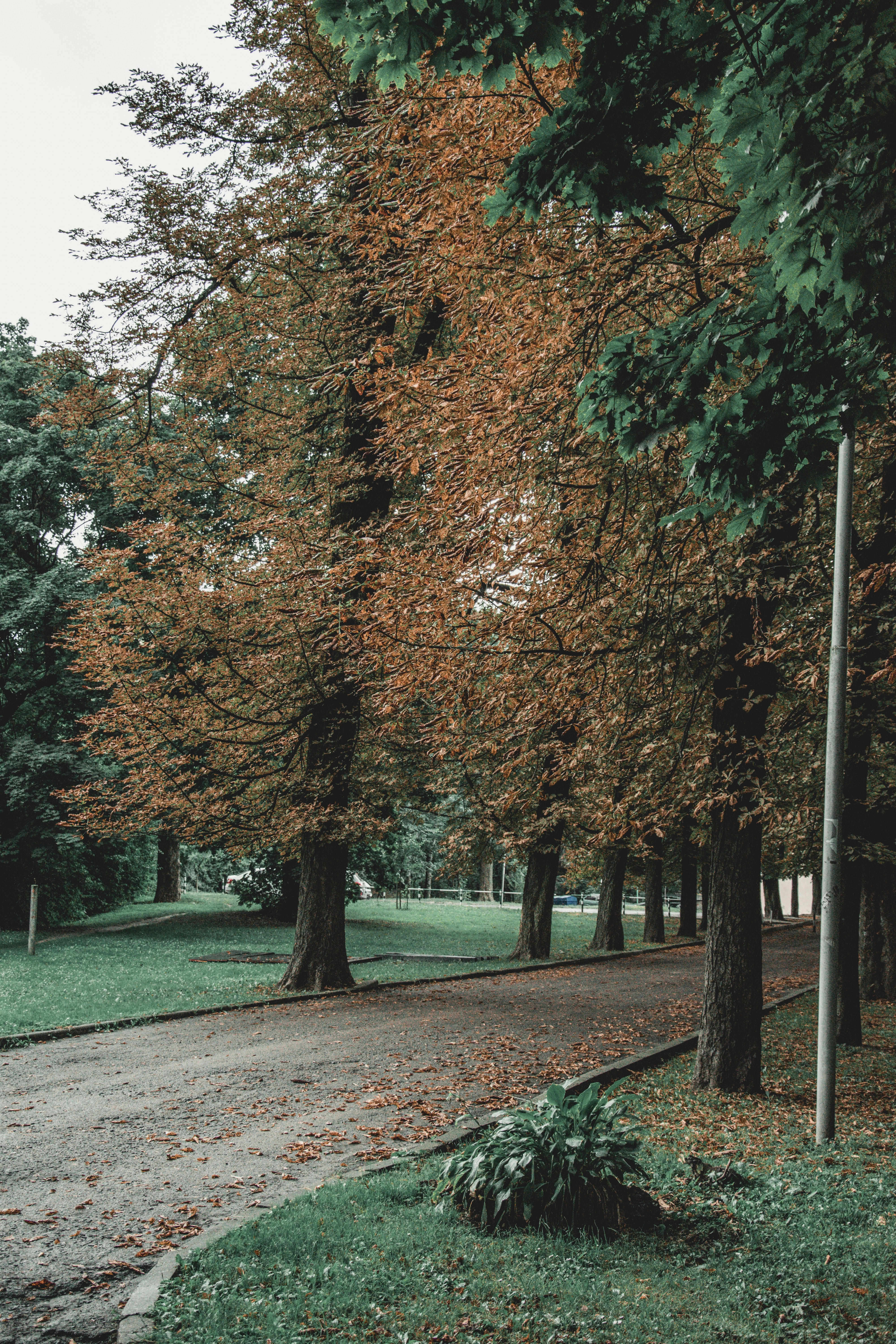 Photo by tetiana_martynenko