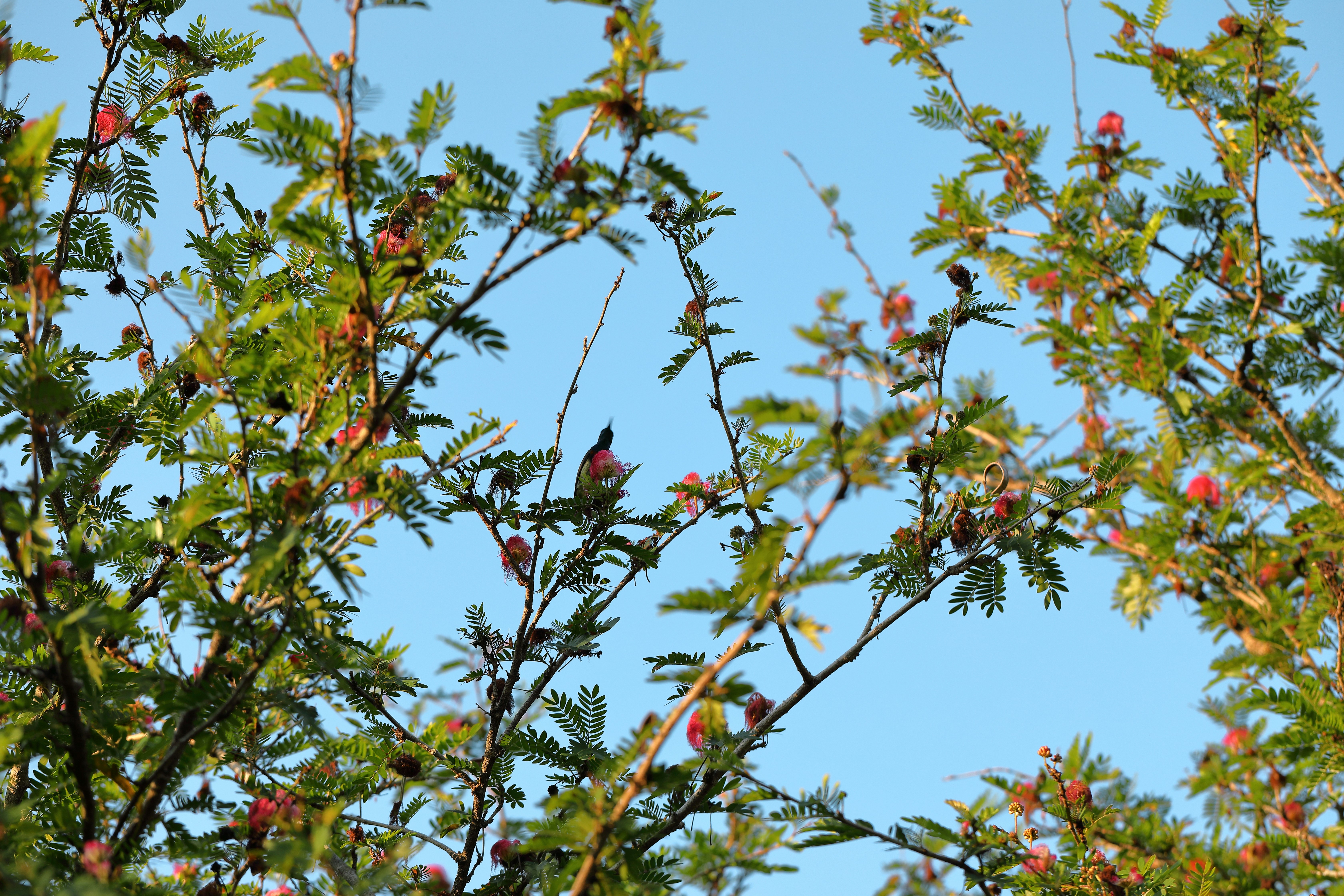 Photo by maksimshutov