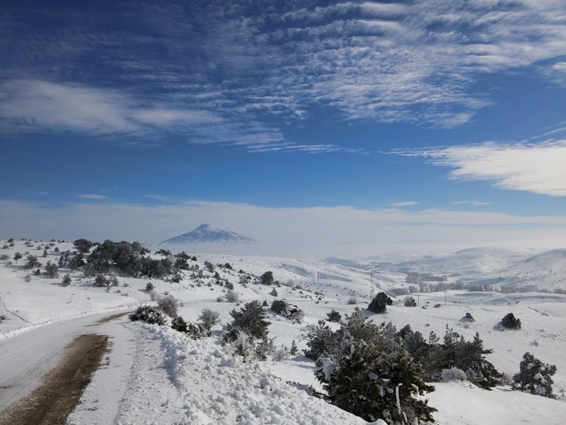 Tokat