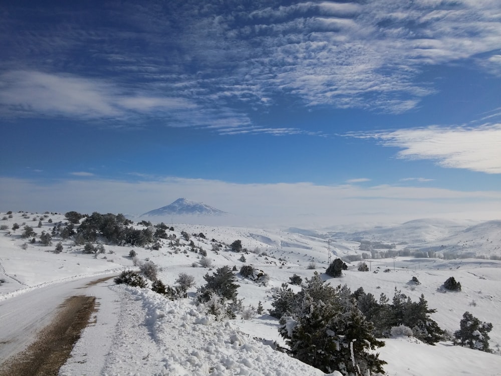 terra coperta di neve