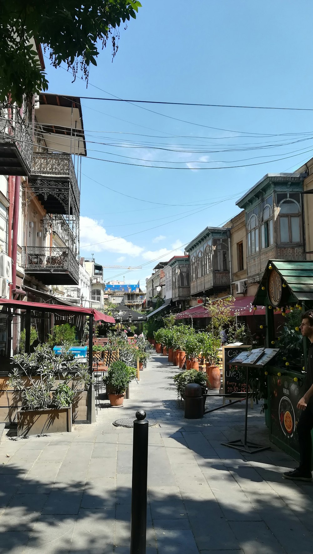 plants in pots on road beside buildings during day