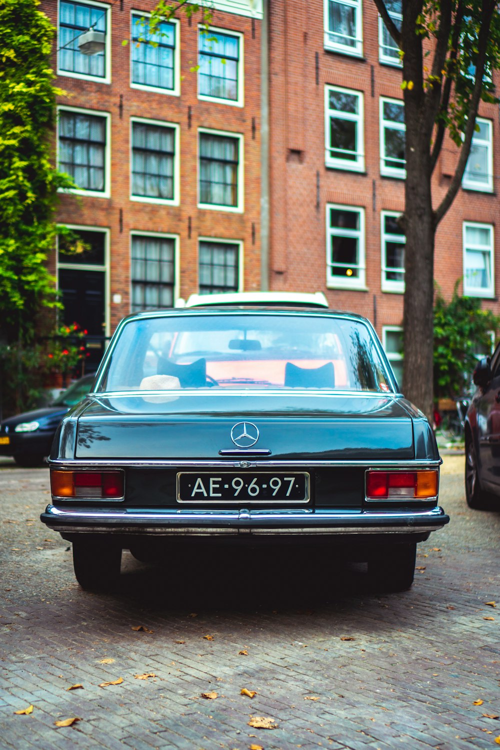 schwarzer Mercedes-Benz Parkplatz zwischen Bäumen