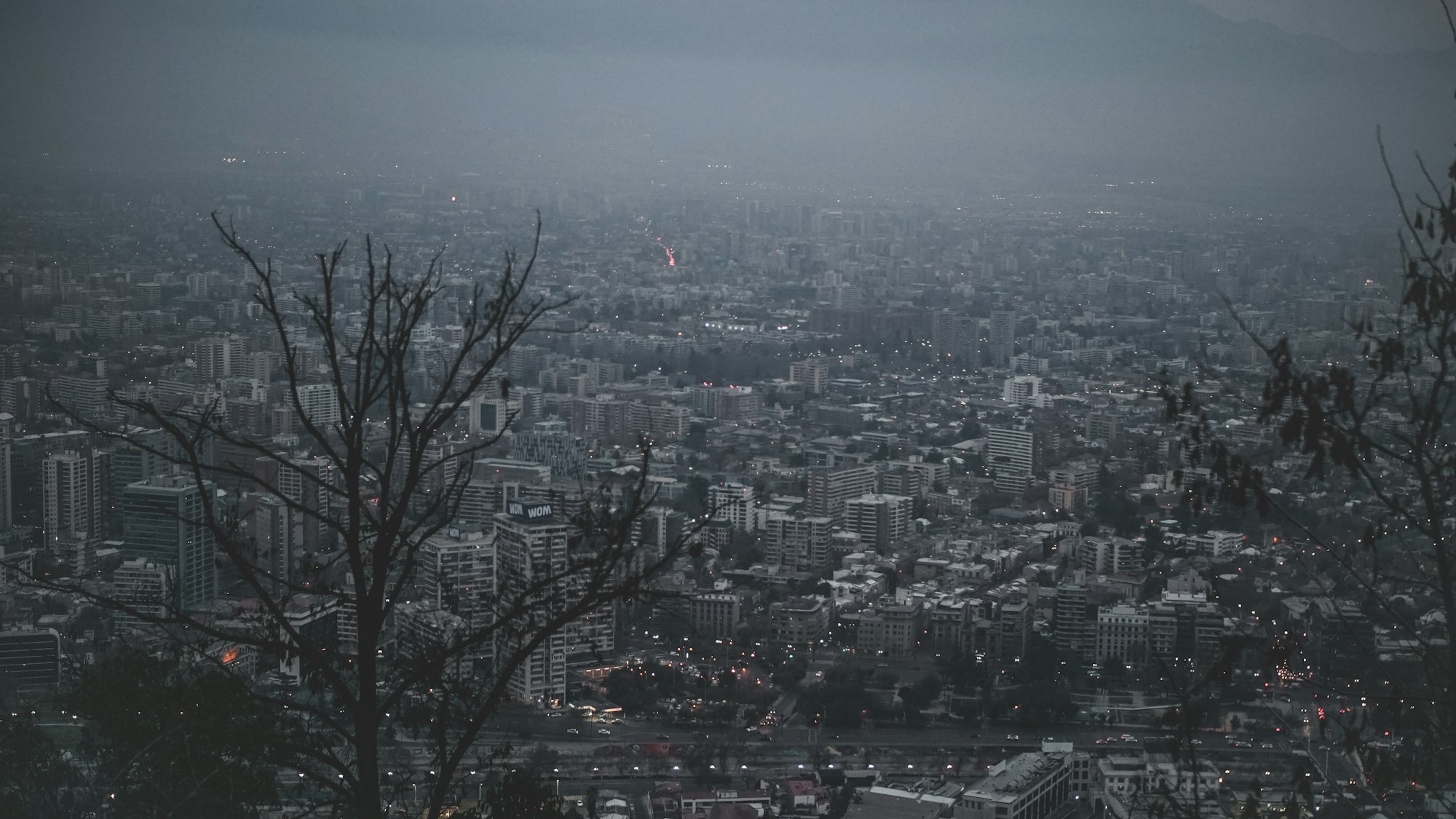 Santiago in twilight under a thick fog. Two sparse trees in the foreground.