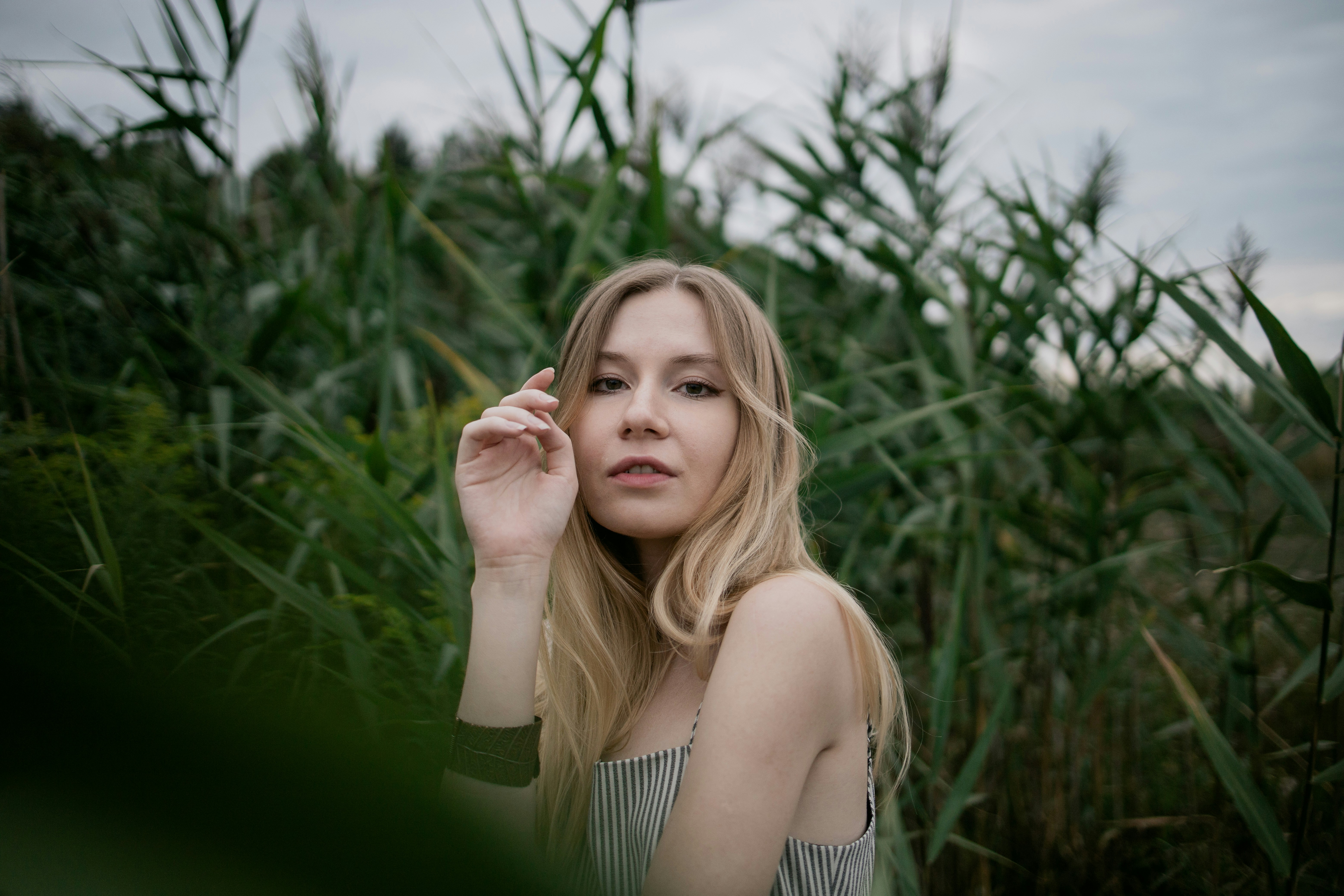 Canon EOS RP + Canon RF 35mm F1.8 IS STM Macro sample photo