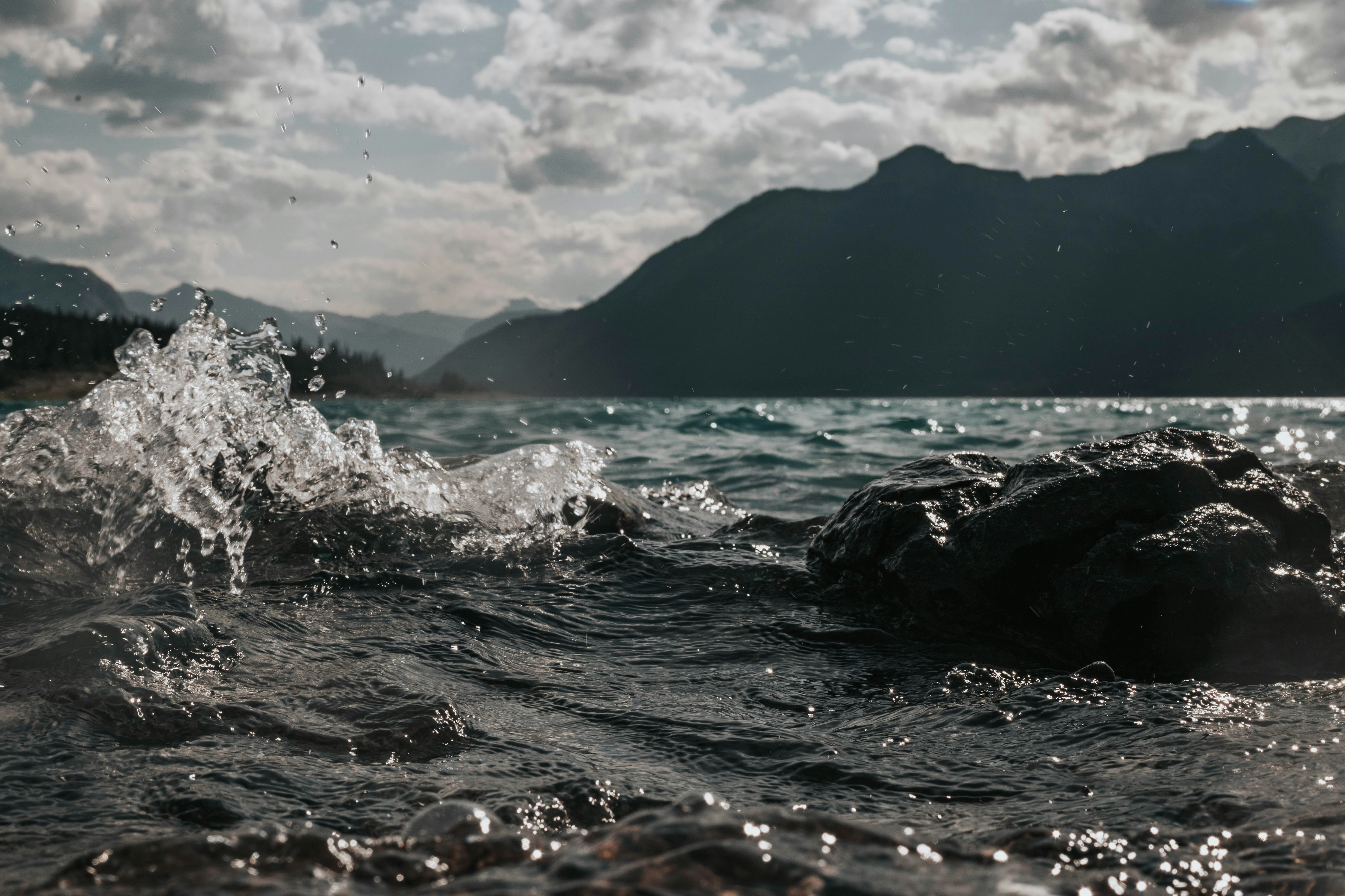 Photo by devintavery