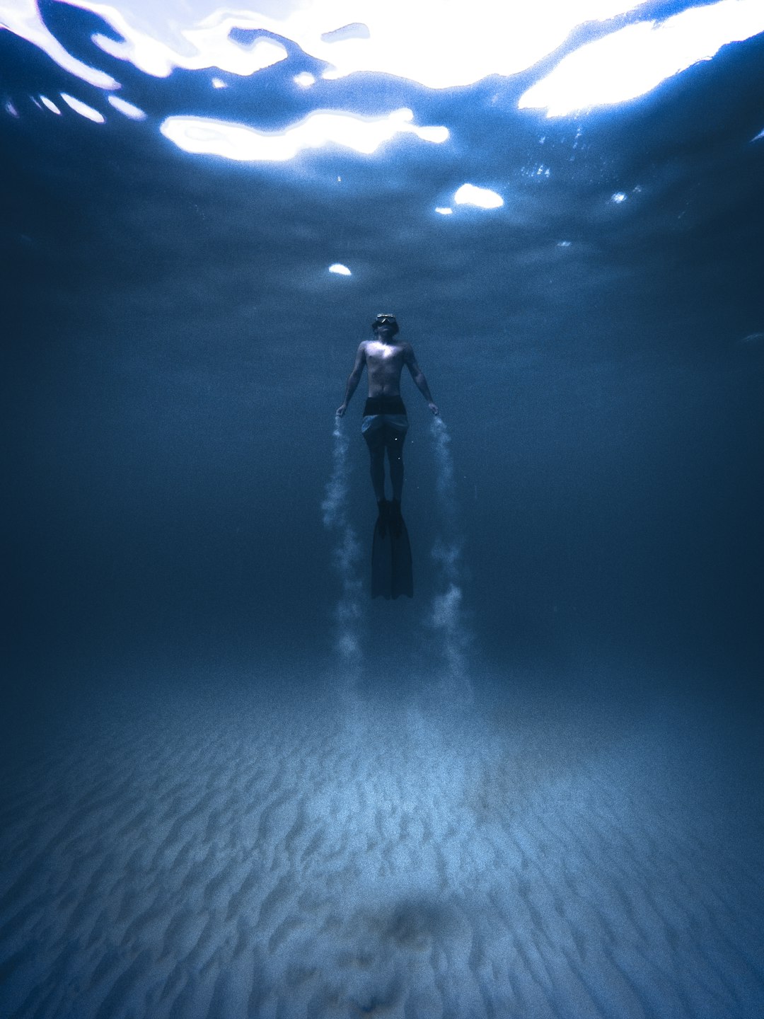 person diving in sea