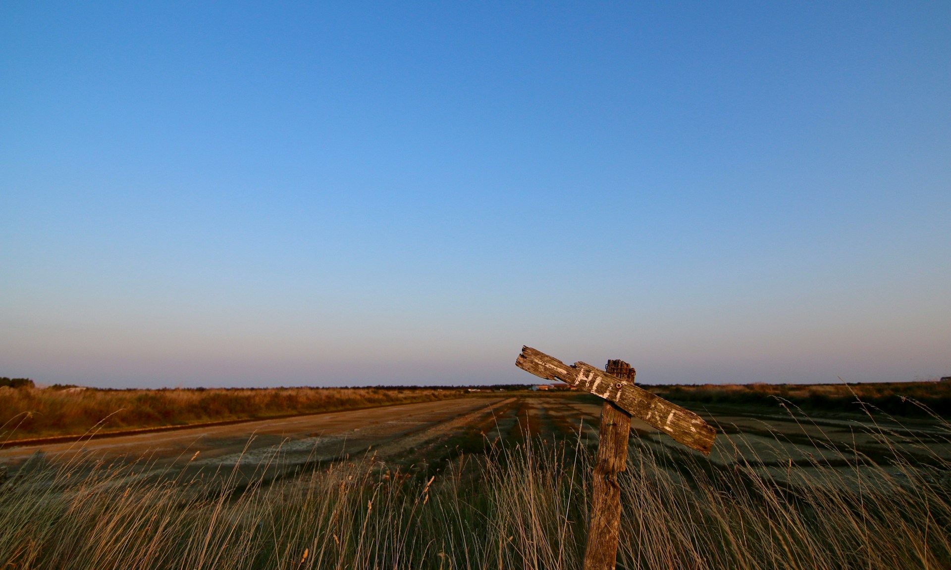 gray computer monitor