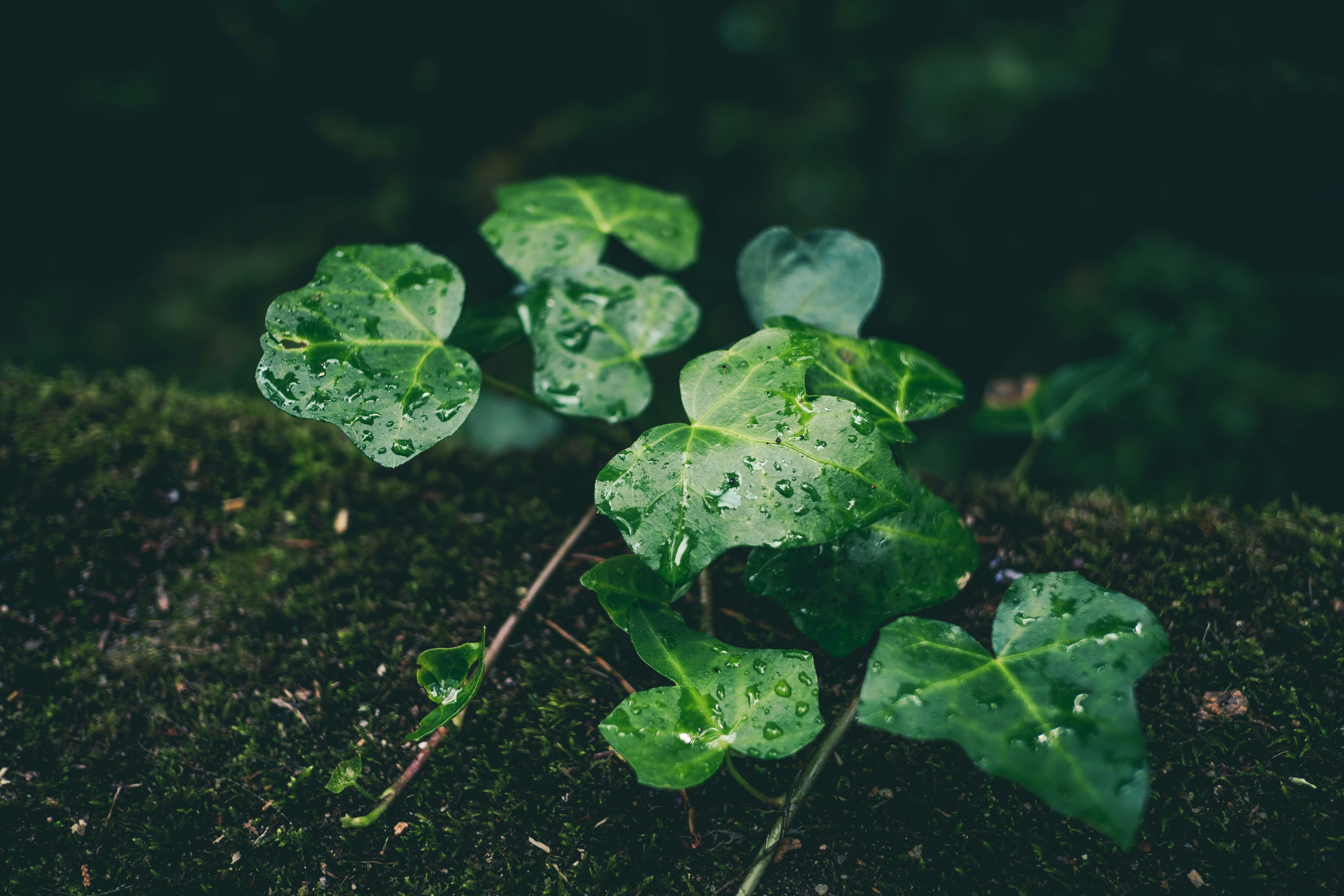 Photo by aperturevintage