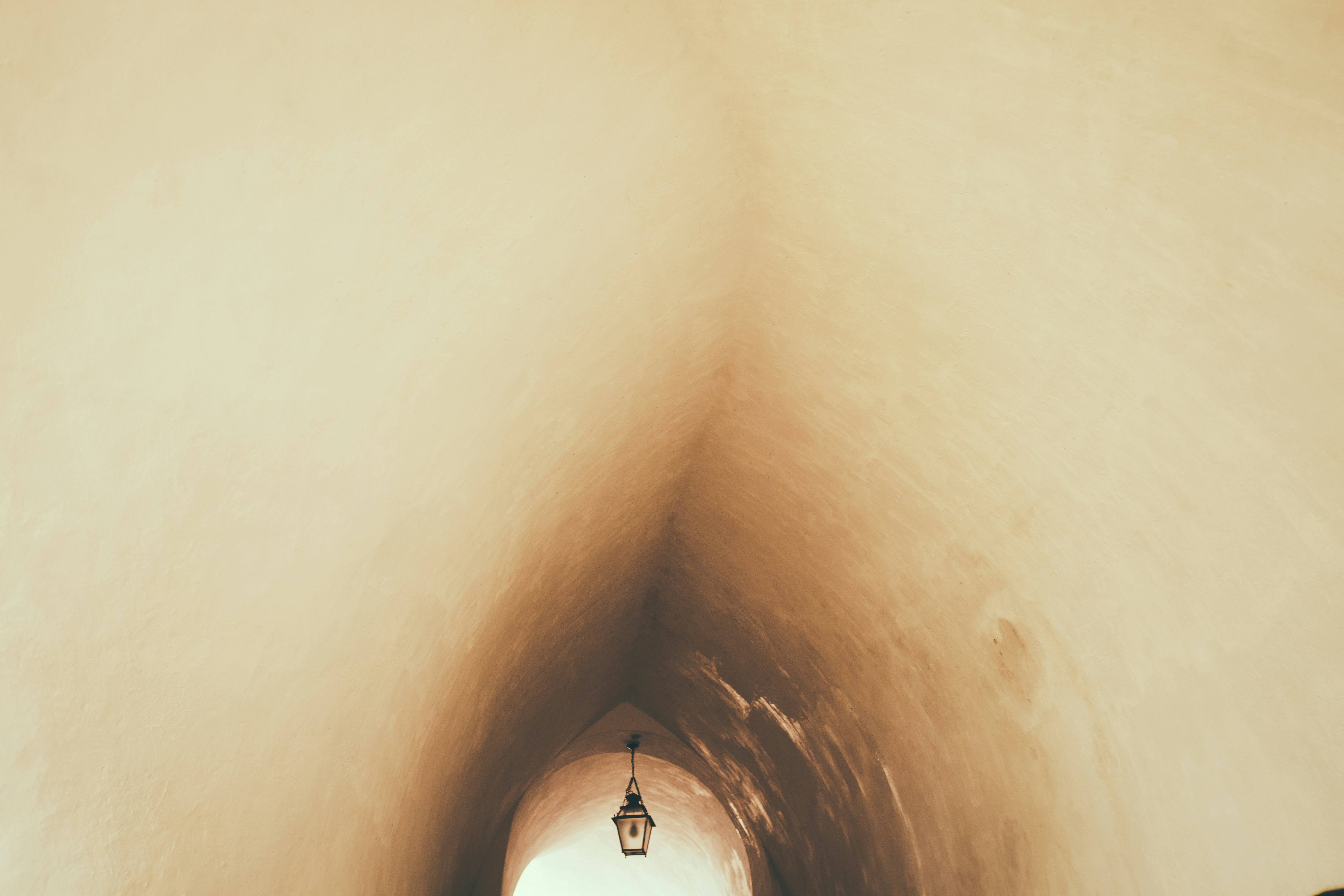 photo-1565555254018-852400658535?ixid=M3wxMjA3fDB8MXxzZWFyY2h8MTR8fGxpbmslMjBhbmFsfGVufDB8fHx8MTc1OTcwNzY1NXww\u0026ixlib=rb-4.1.0