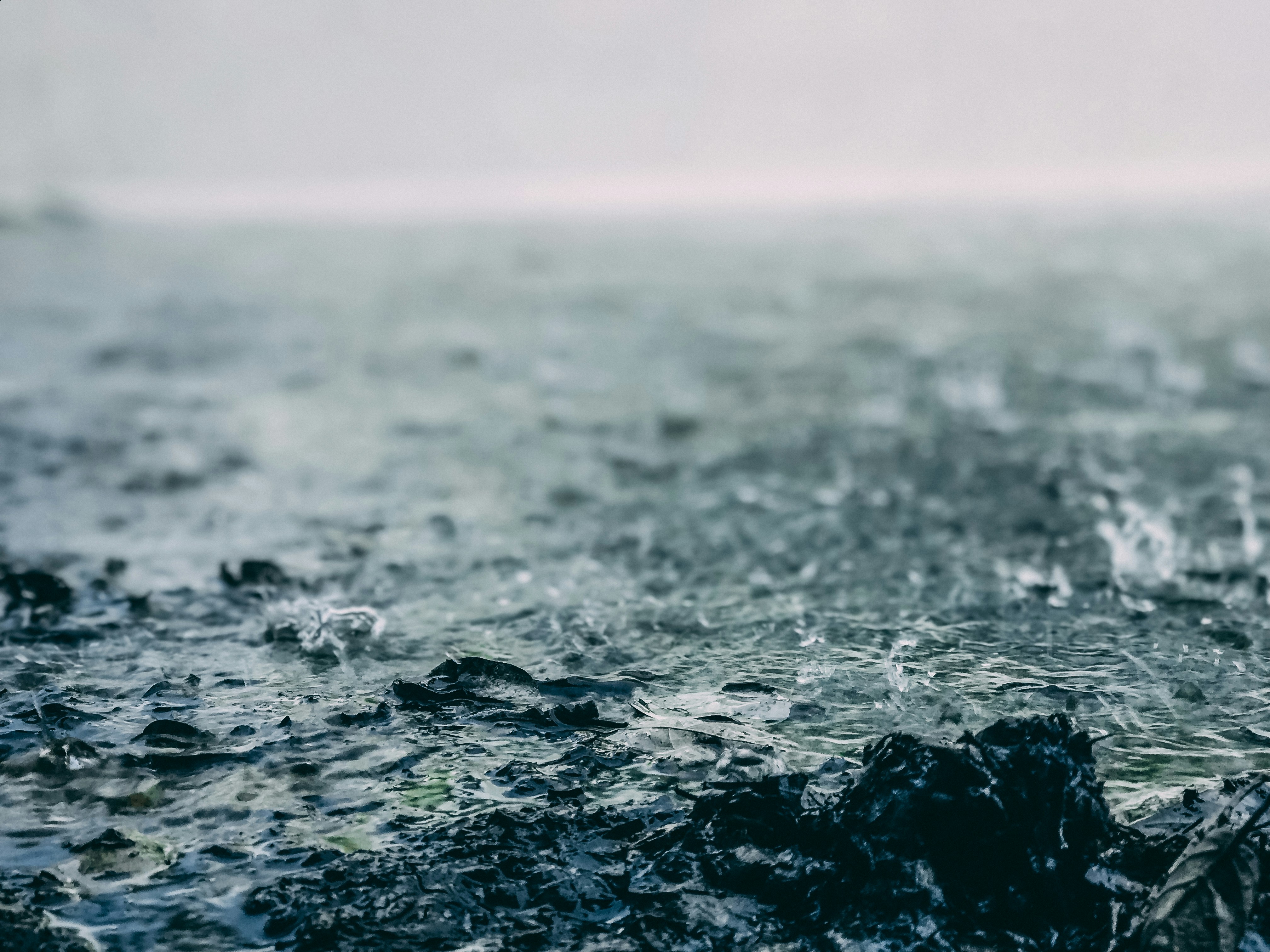 Photo by outcast_india