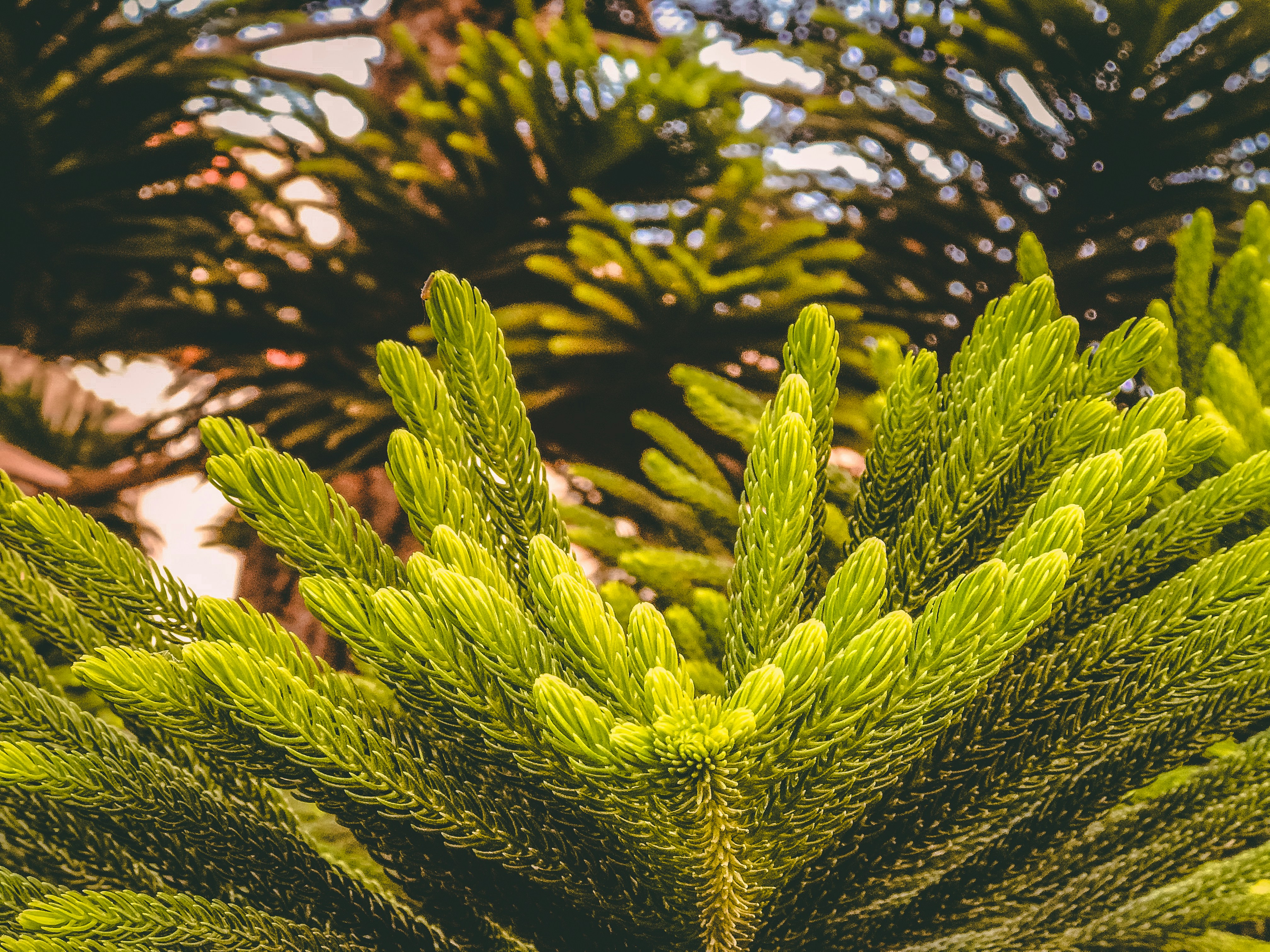 The 5 most eco-friendly hotels in Secunderabad