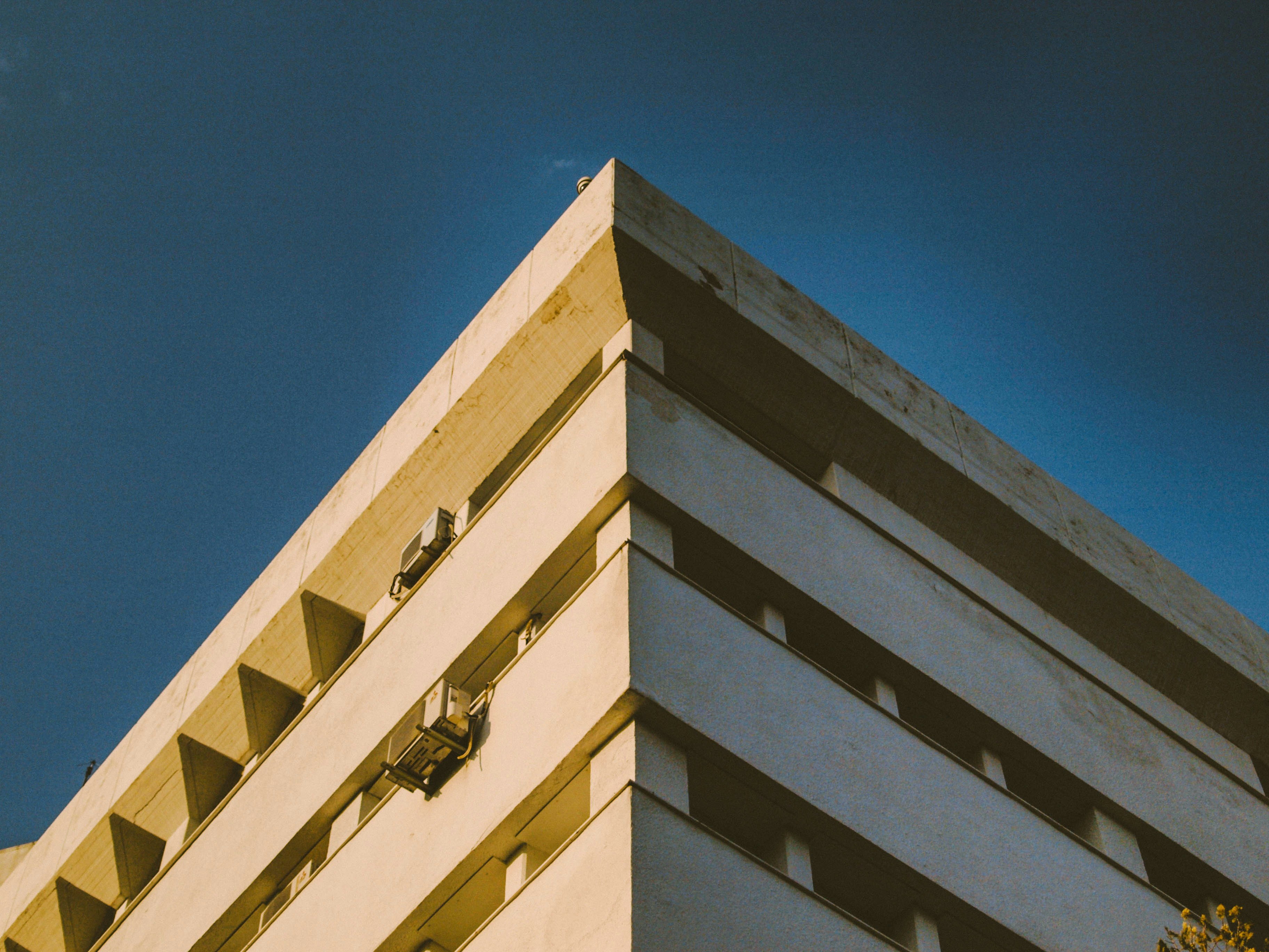 technical university