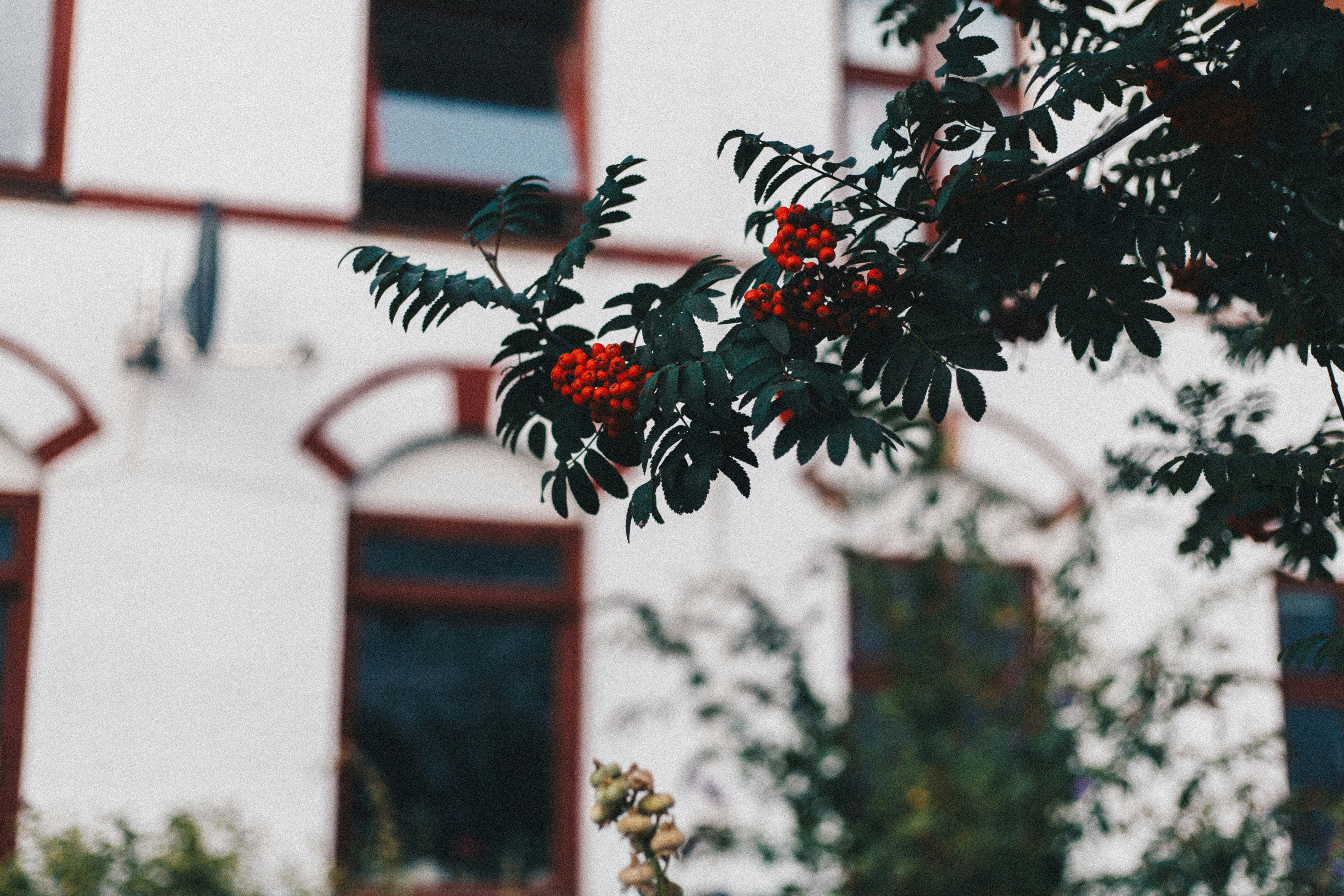 Photo by turutututuu