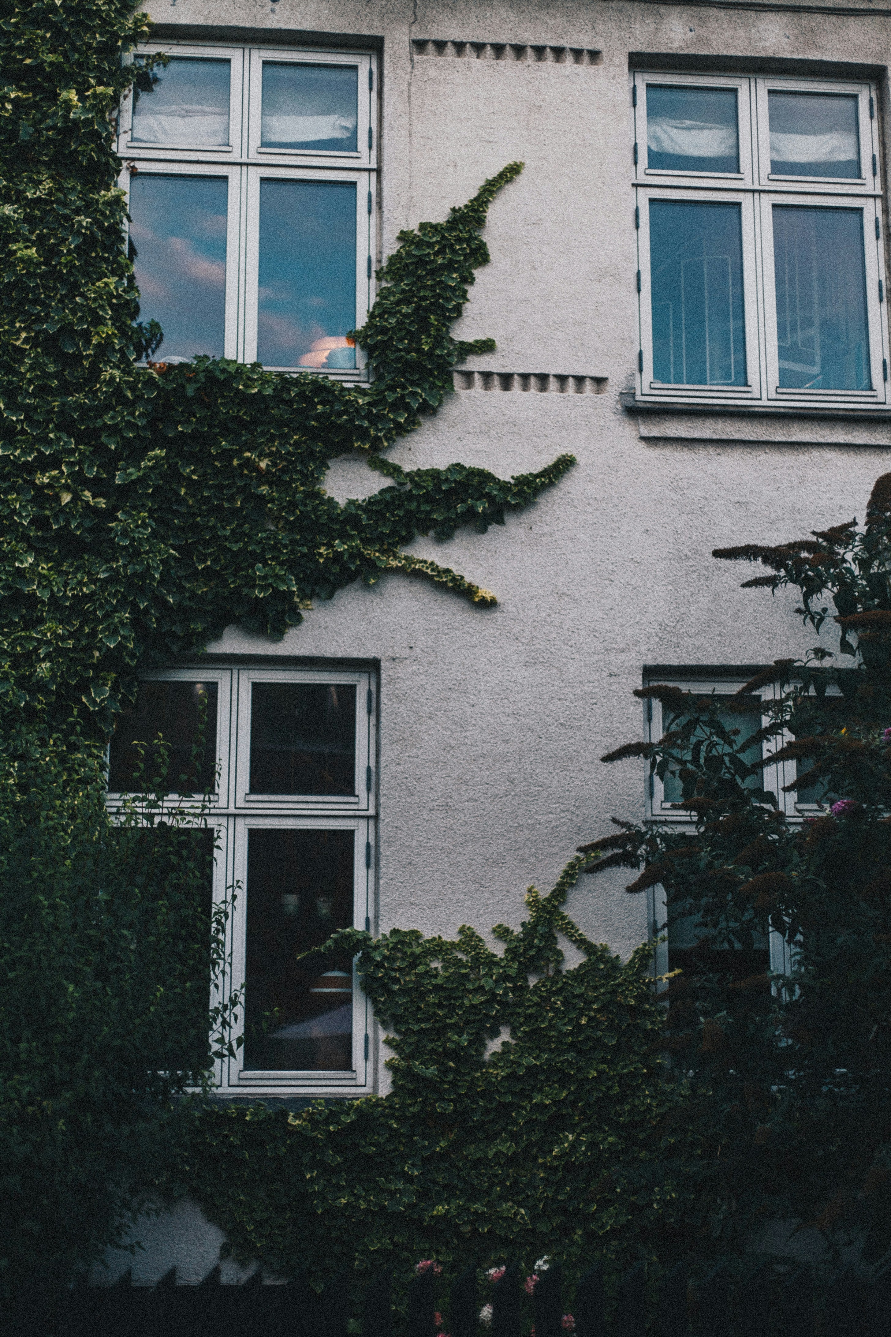 Photo by turutututuu