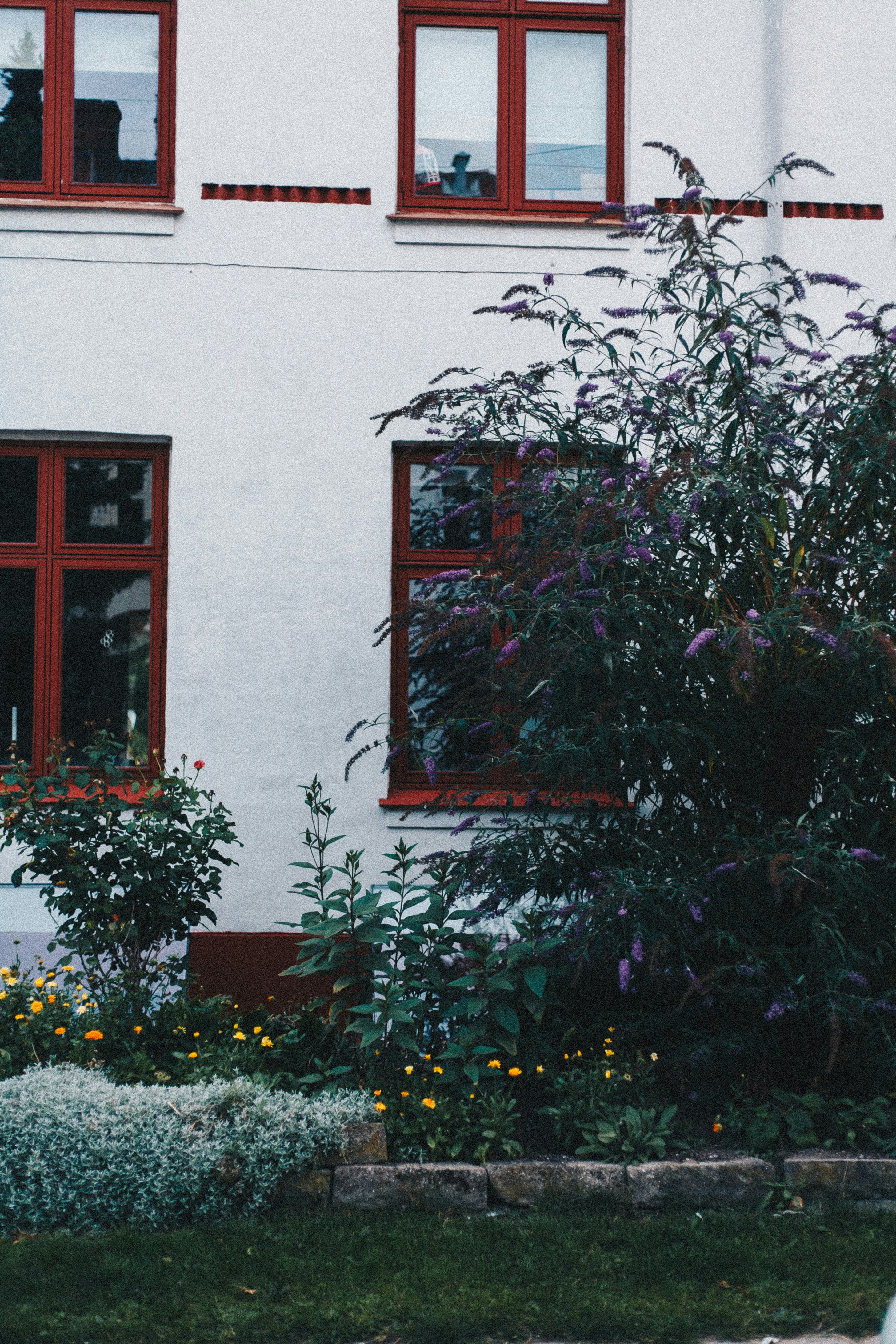 Photo by turutututuu