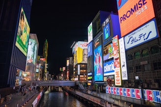 city at night