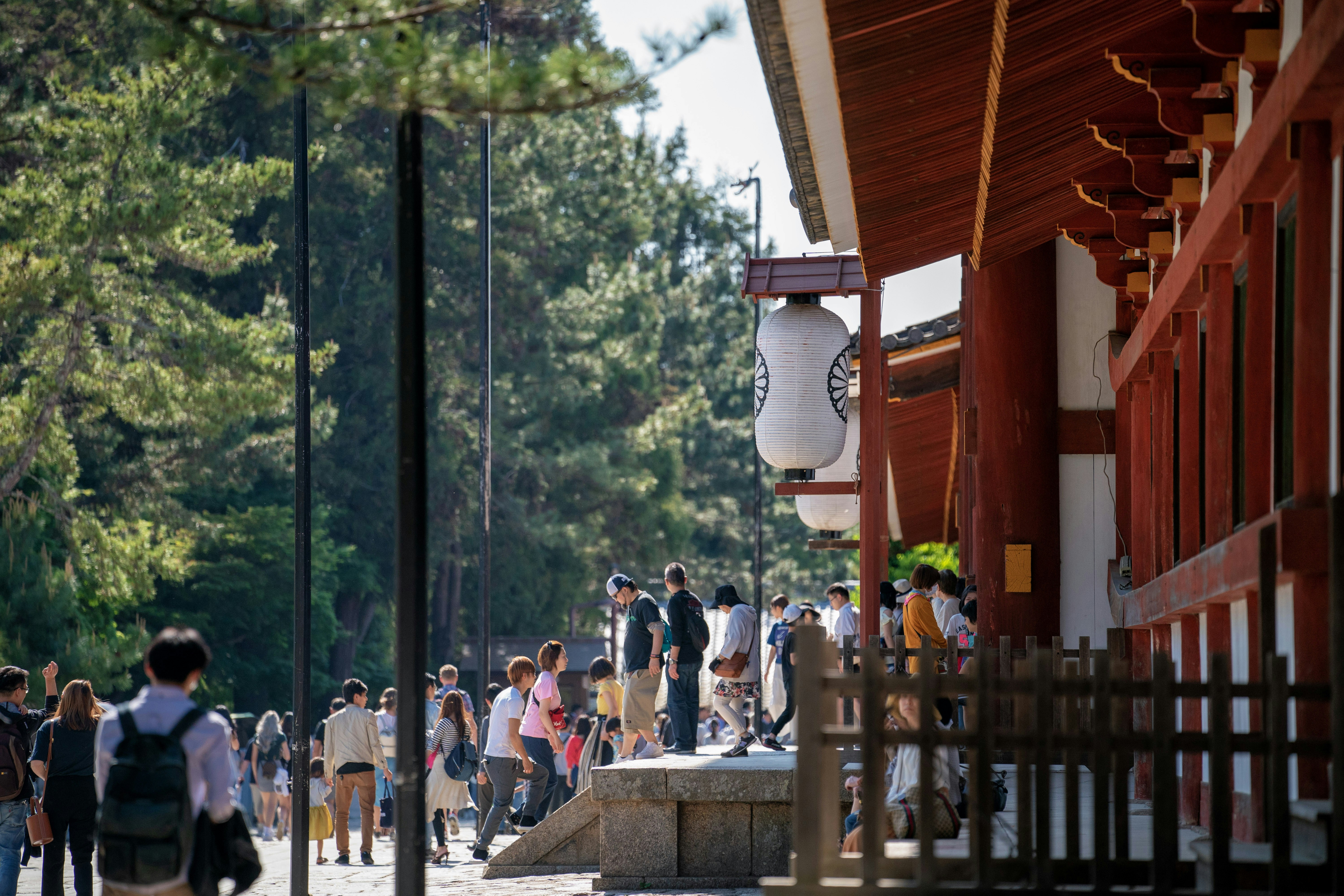 Photo by inertkrypton