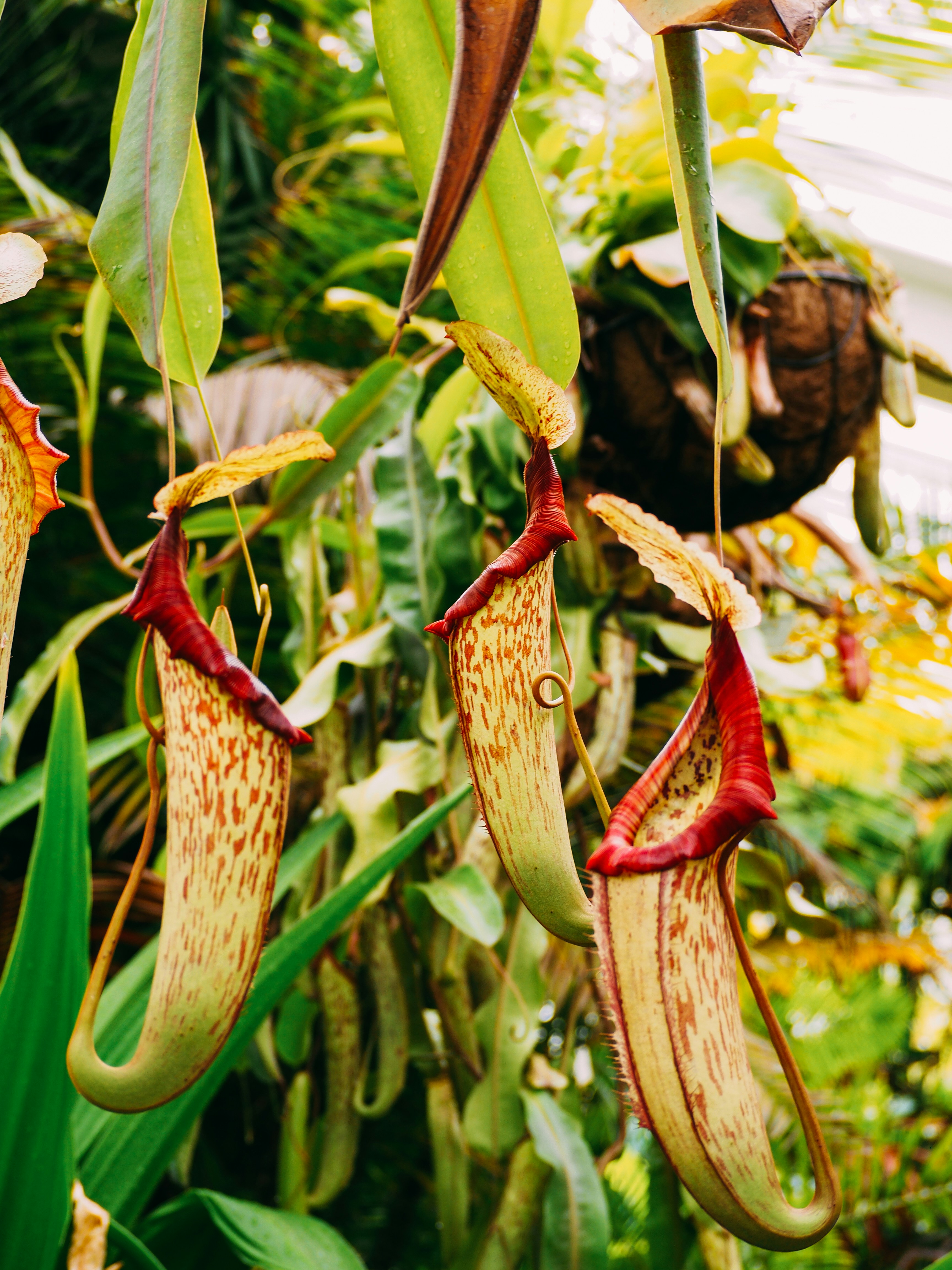 Photo by brechtdenil