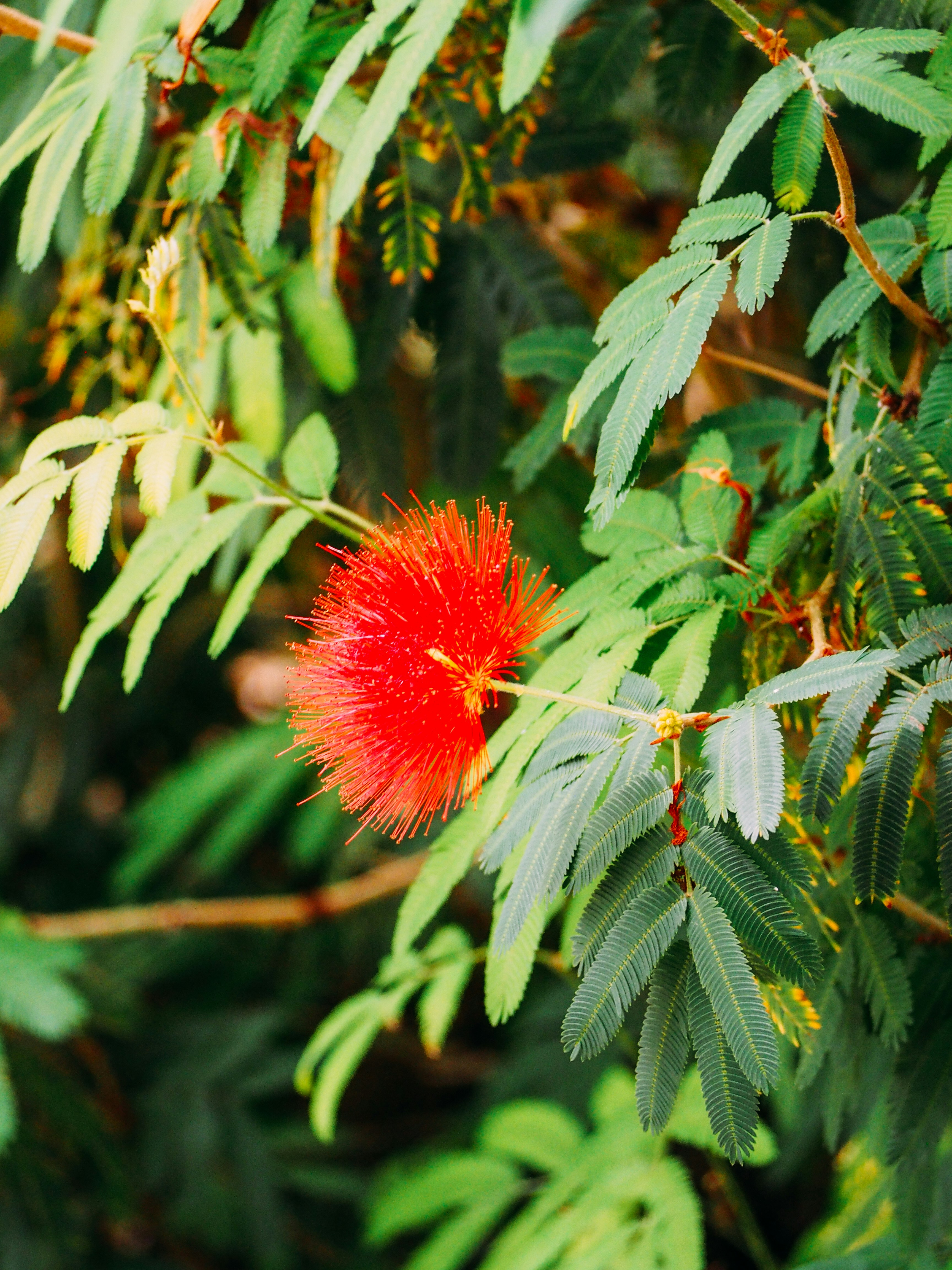 Photo by brechtdenil