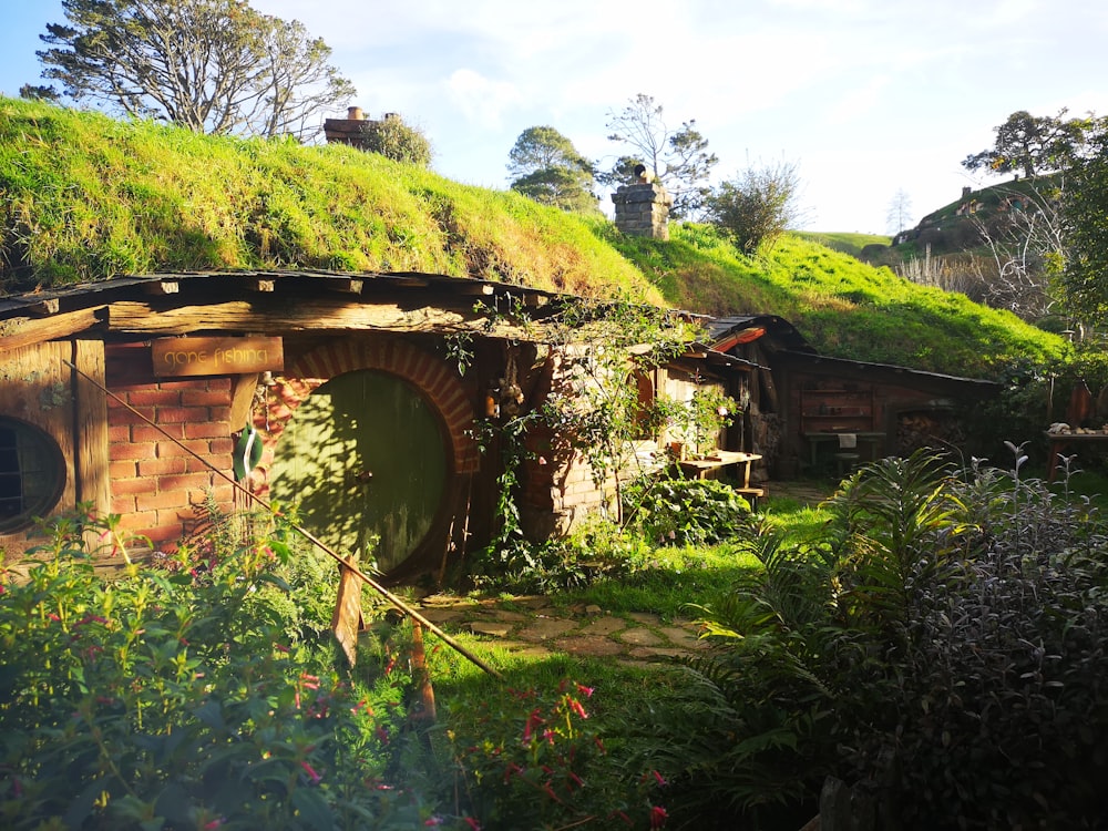 brown house with moss