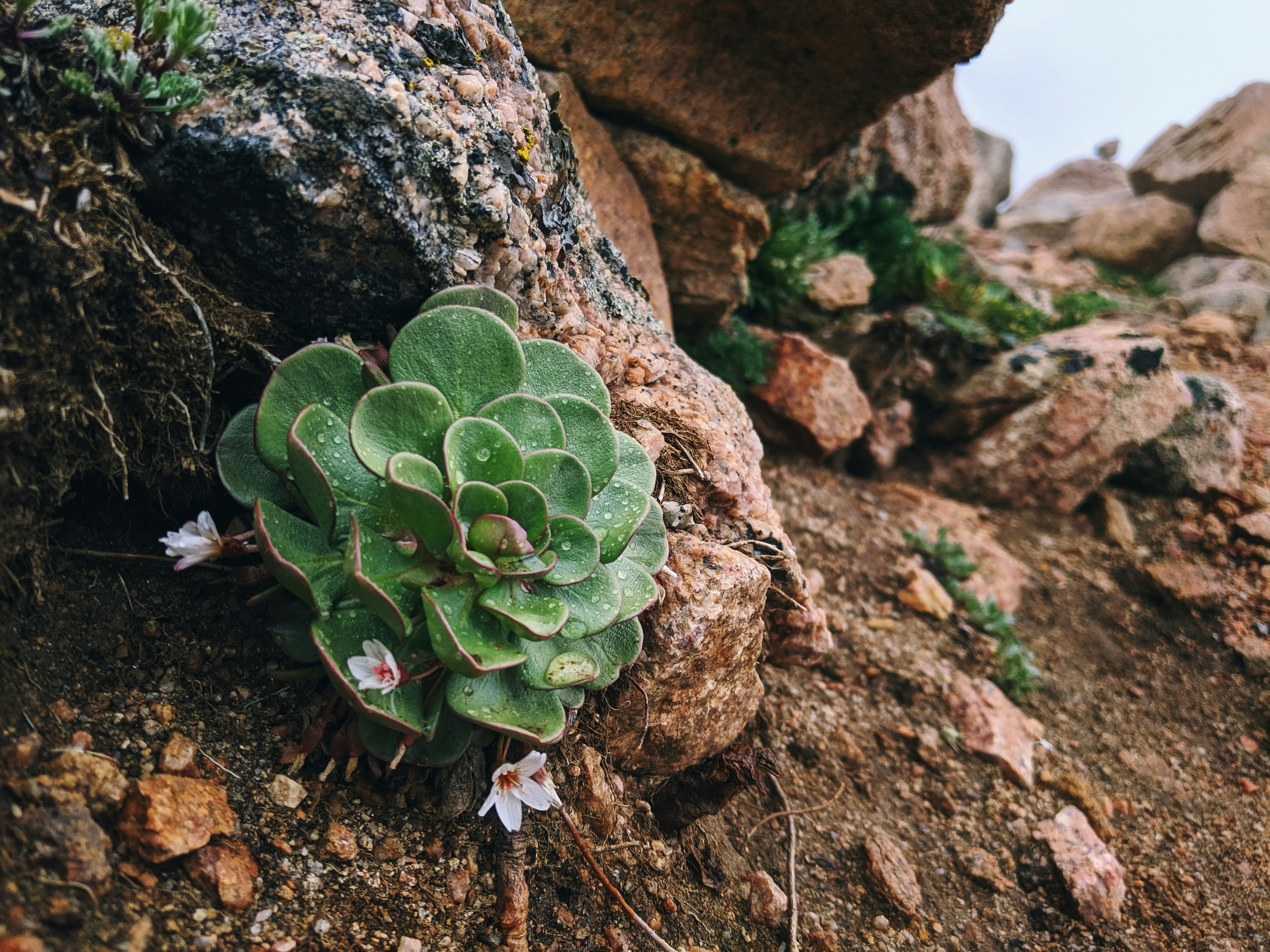 Photo by cassidyjames