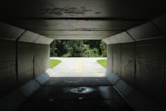 a tunnel with a road going through it