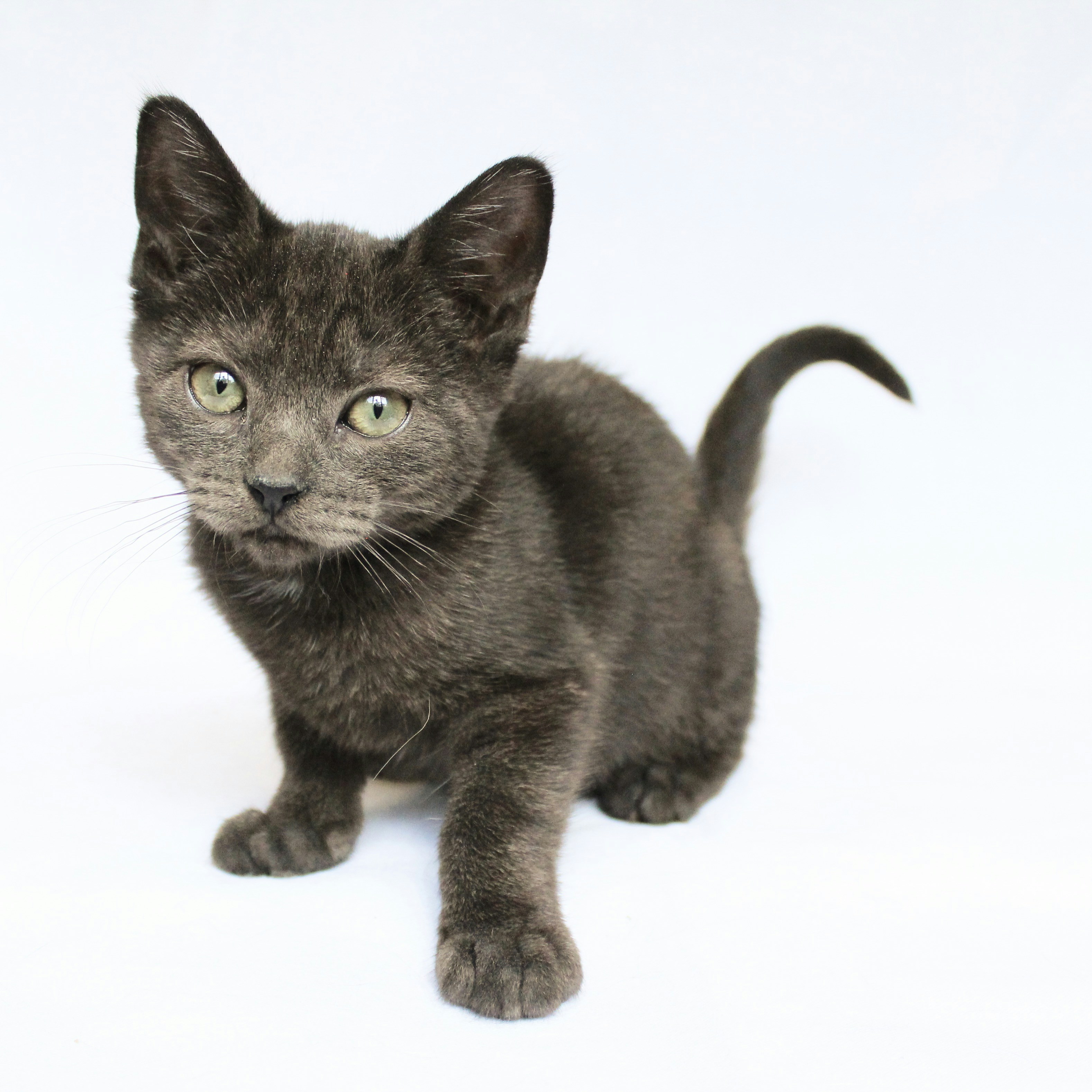 Photo by theluckyneko