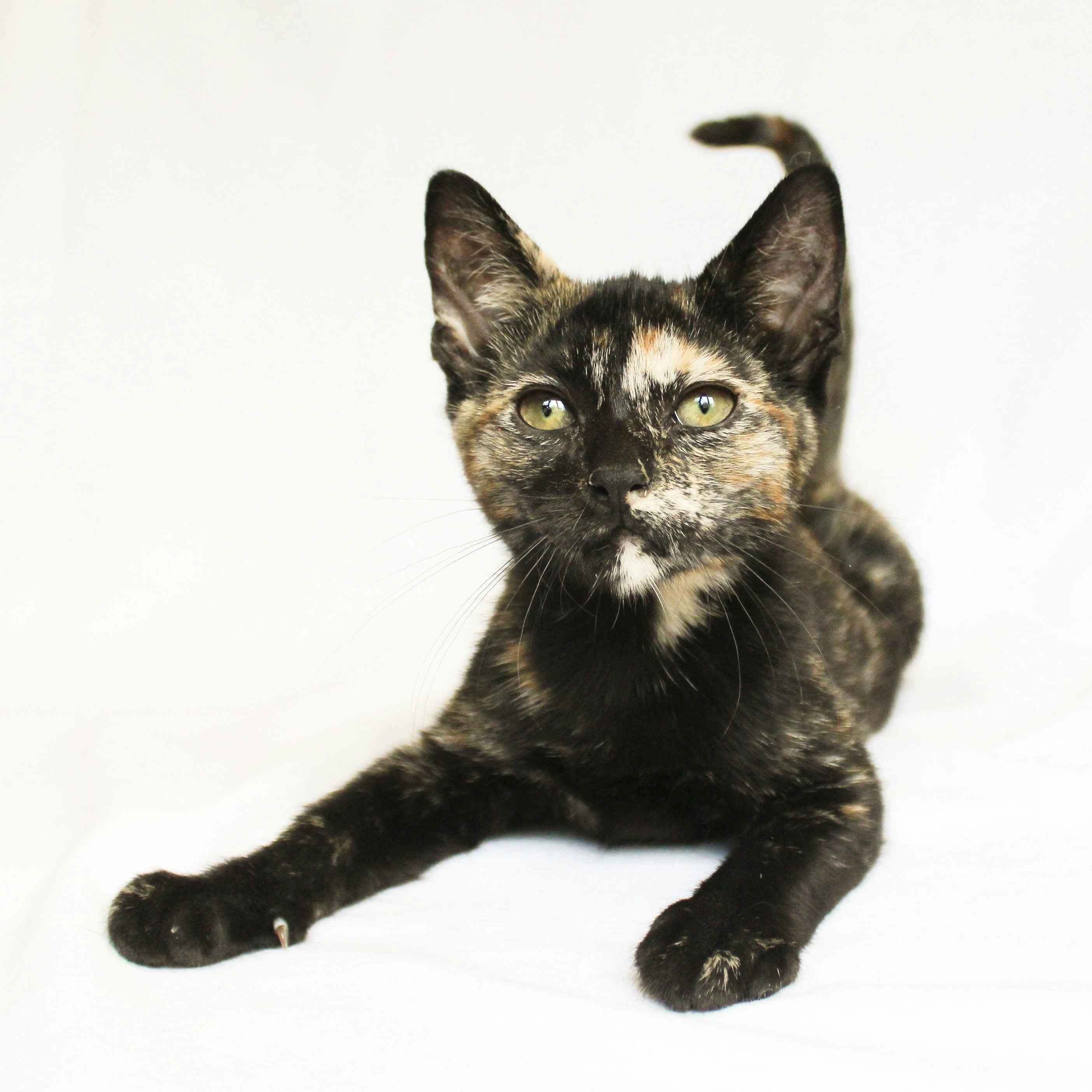 Photo by theluckyneko