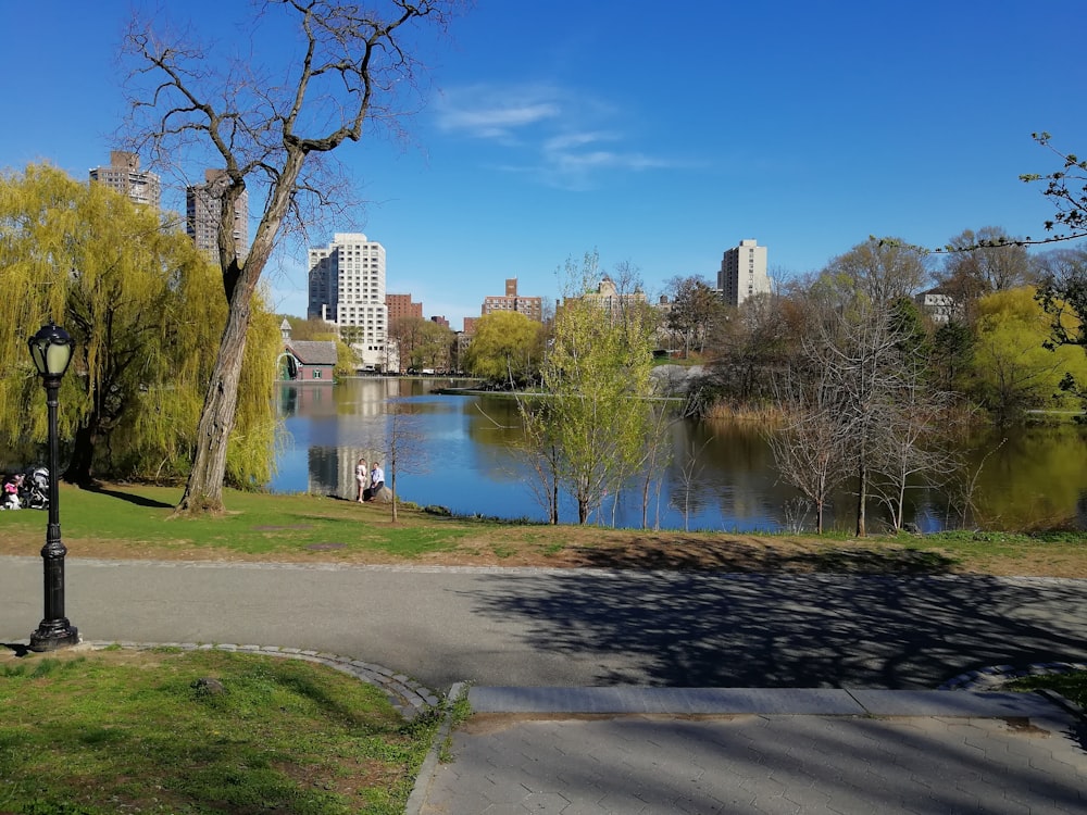 Laternenpfahl neben der Straße am Park mit See während des Tages