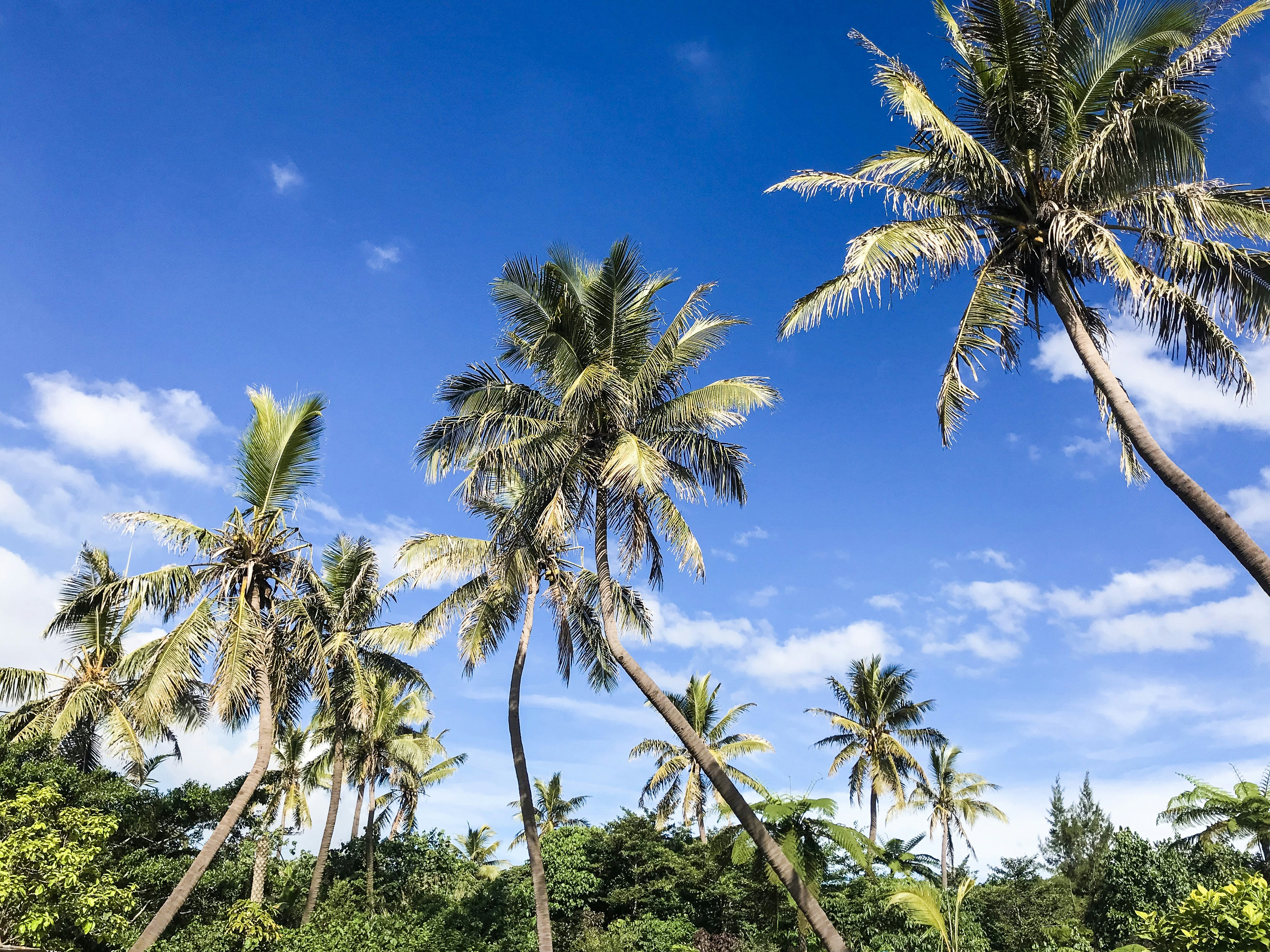 Photo by jesswilsonww24