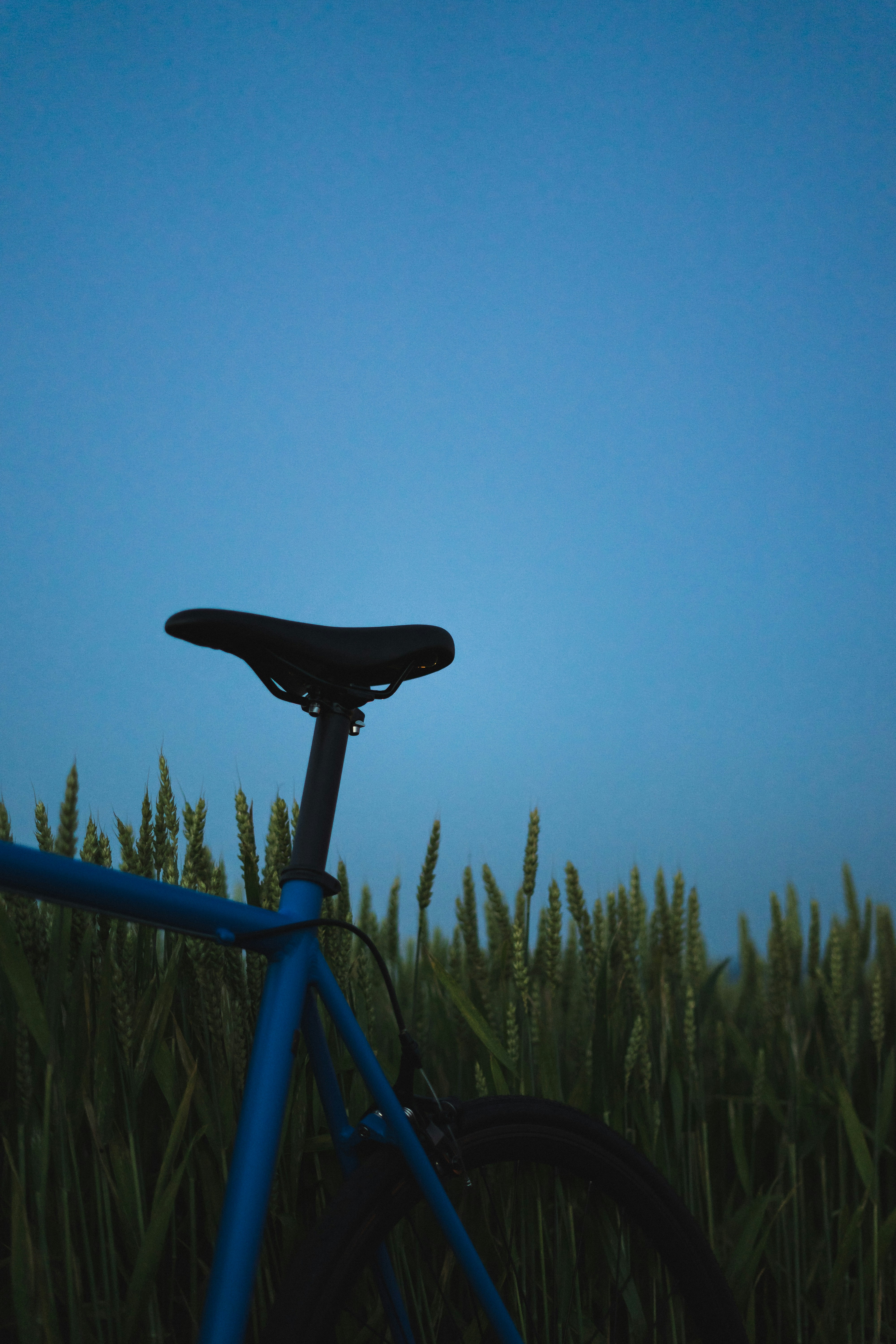 Photo by virussinside