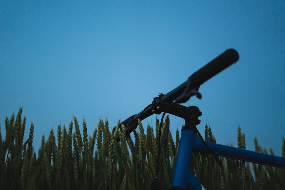 blue and black bike near green wheat field