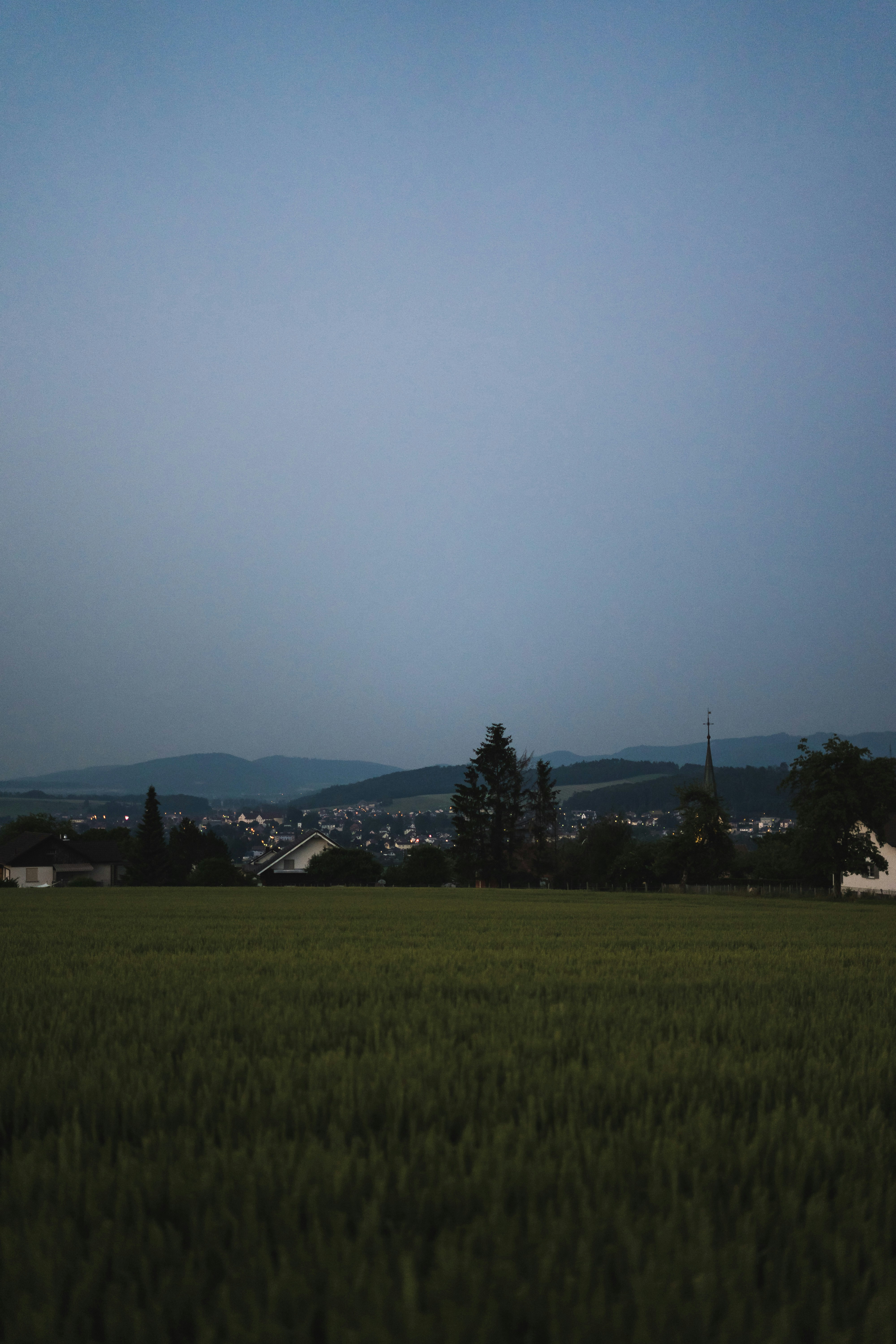 Photo by virussinside