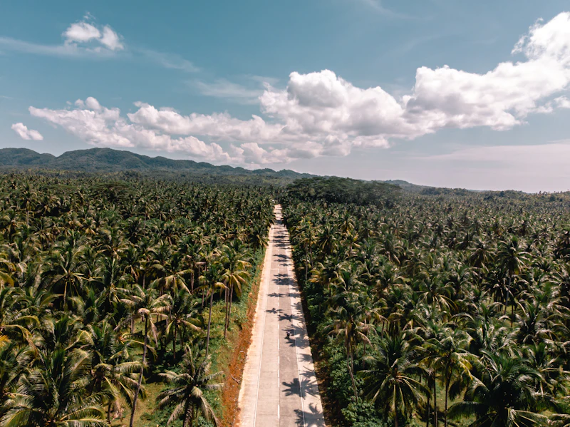 Best Boutique Hotels in Siargao for Style, Character, and No Chain-Hotel Vibes