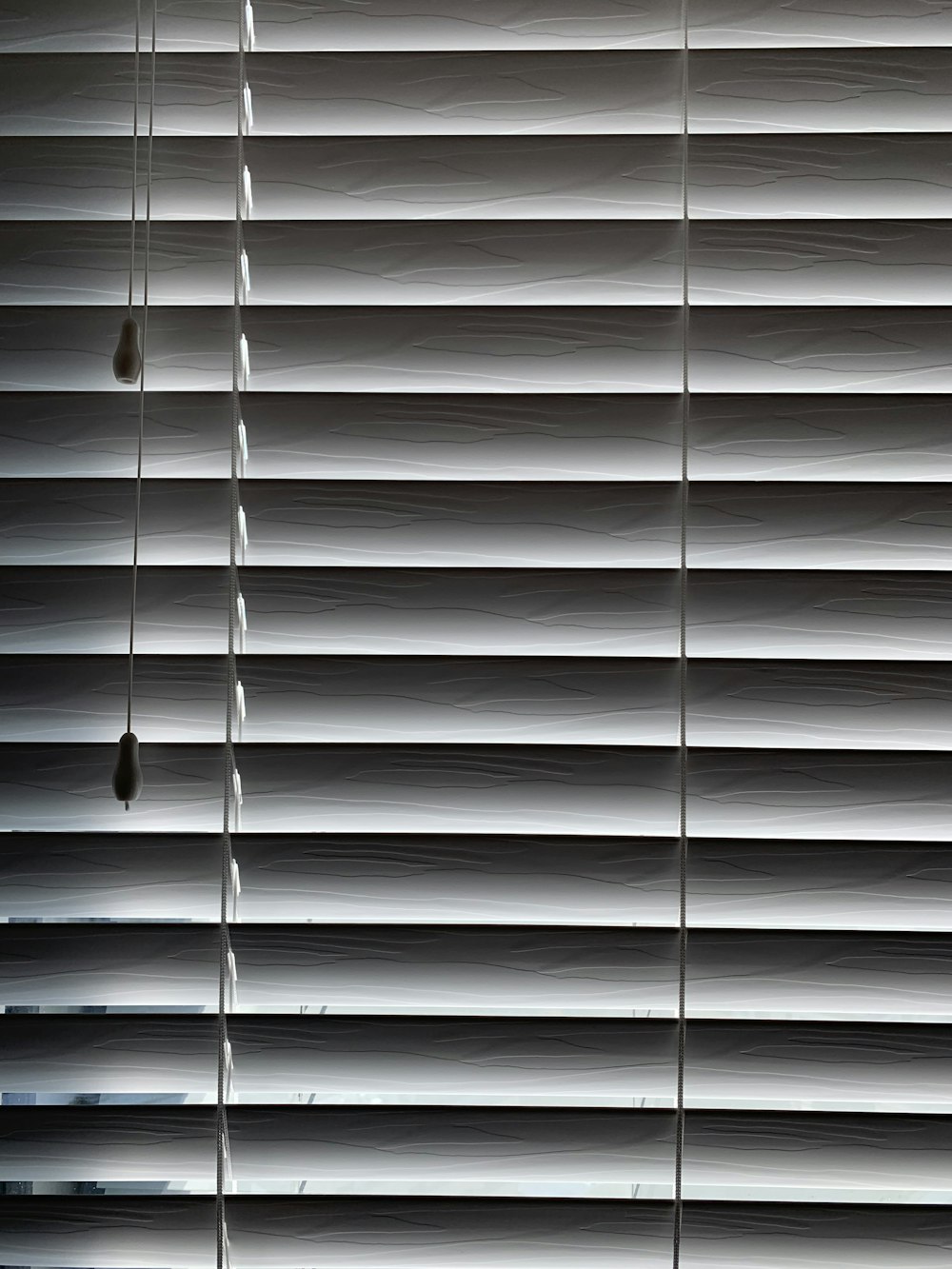 white window blinds