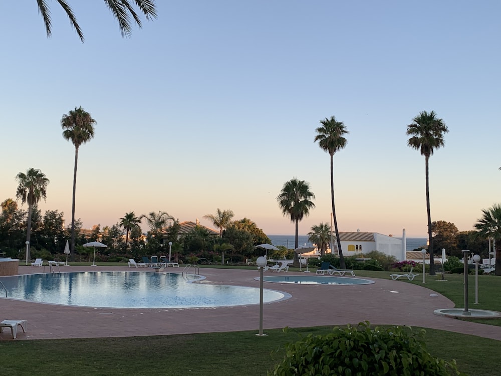 blue swimming pool