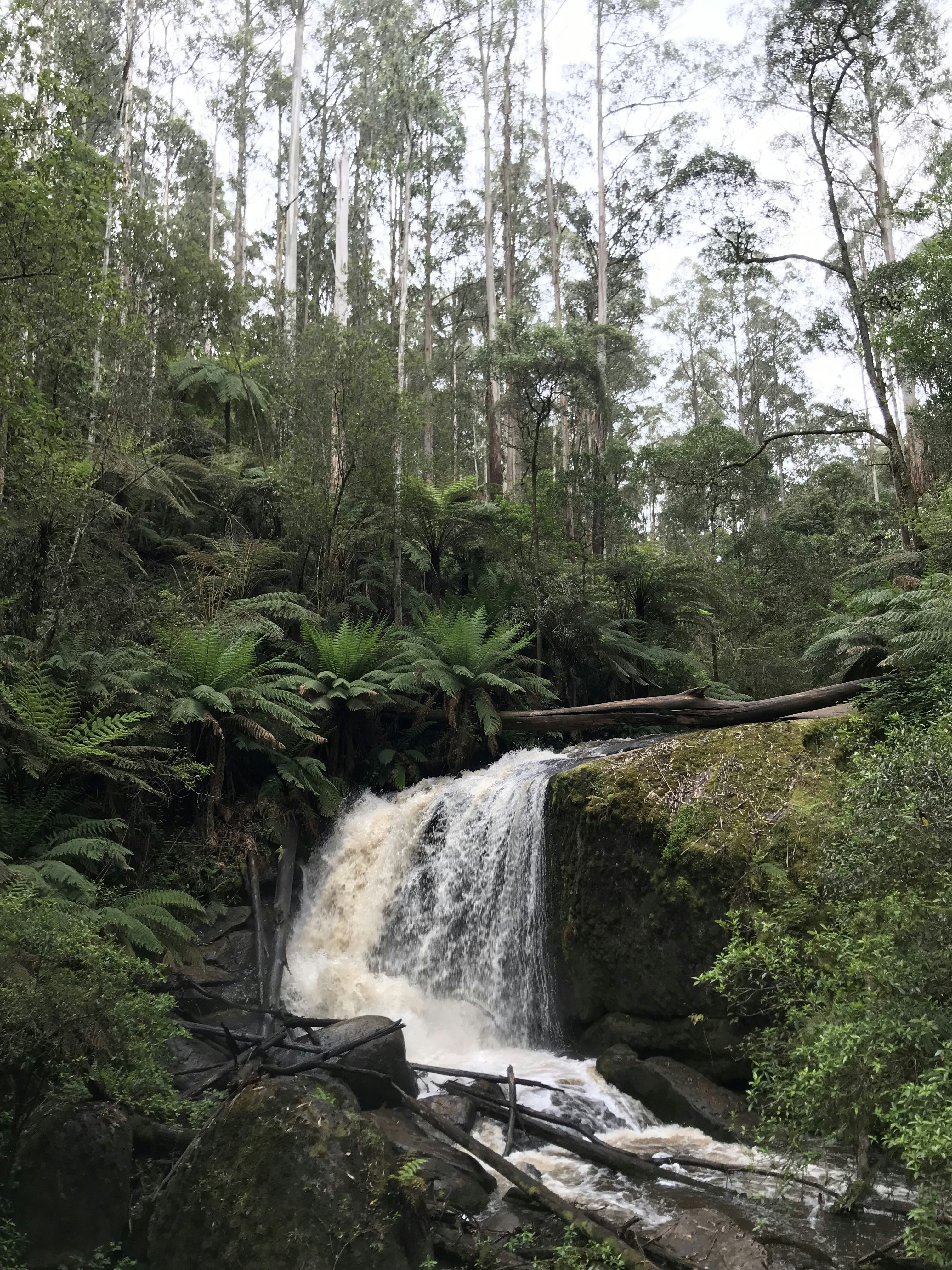 Photo by myrtleschilling