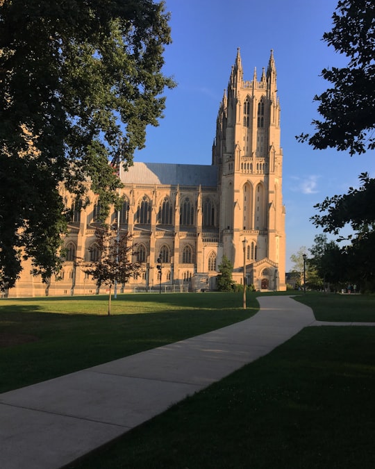 Washington National Cathedral things to do in McLean