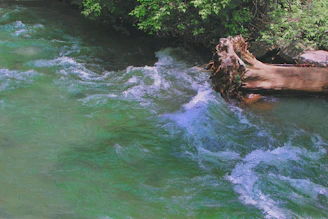 A hydrologist measuring water flow in a mountain stream surrounded by lush vegetation.