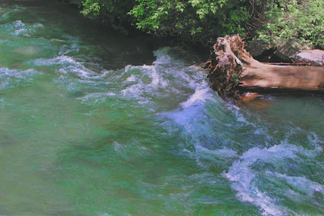 A hydrologist measuring water flow in a mountain stream surrounded by lush vegetation.