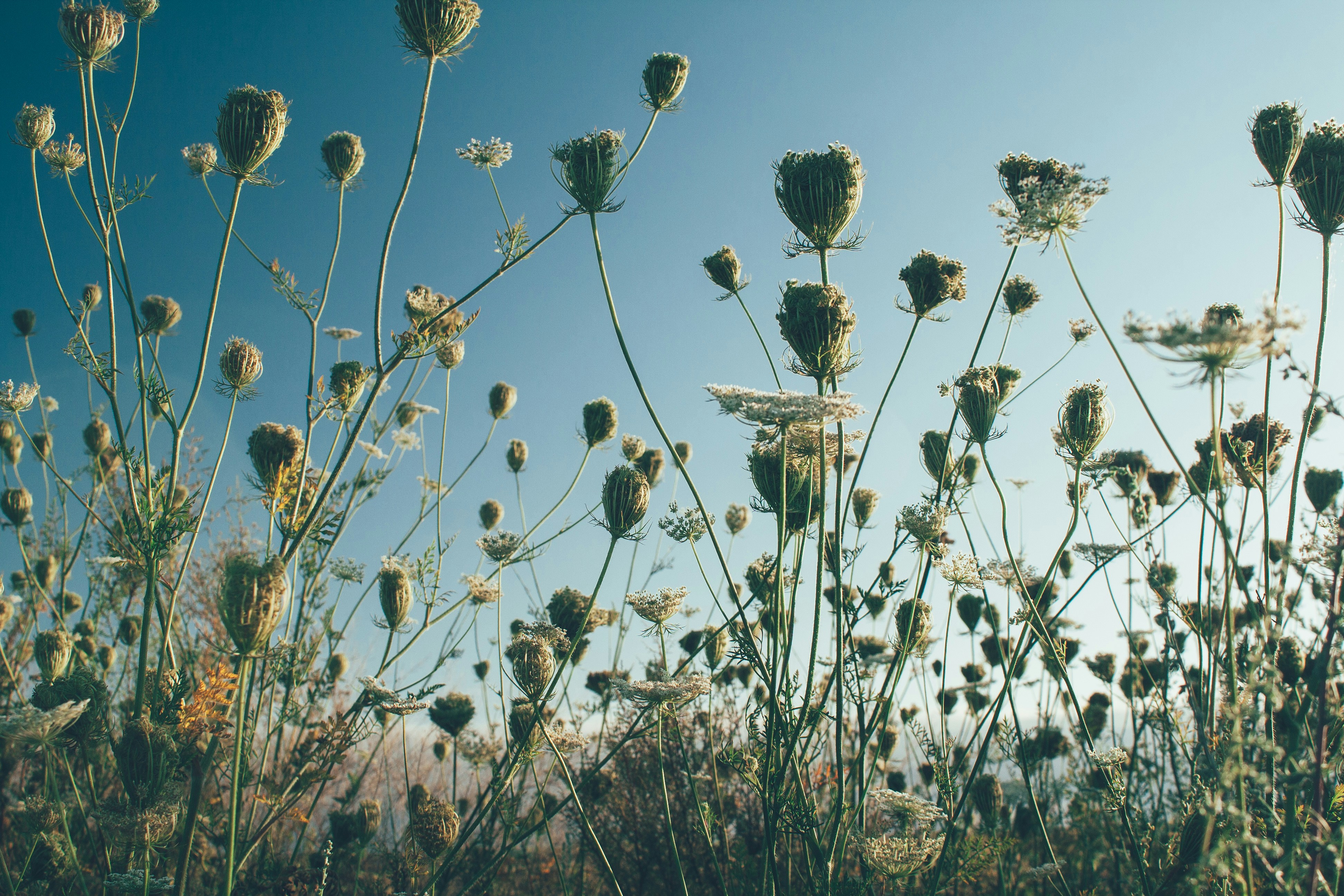 Photo by onmywayhome