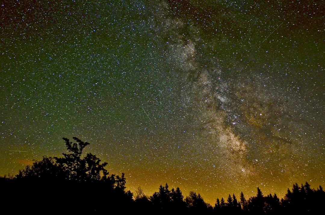 silhouette of trees under milky way