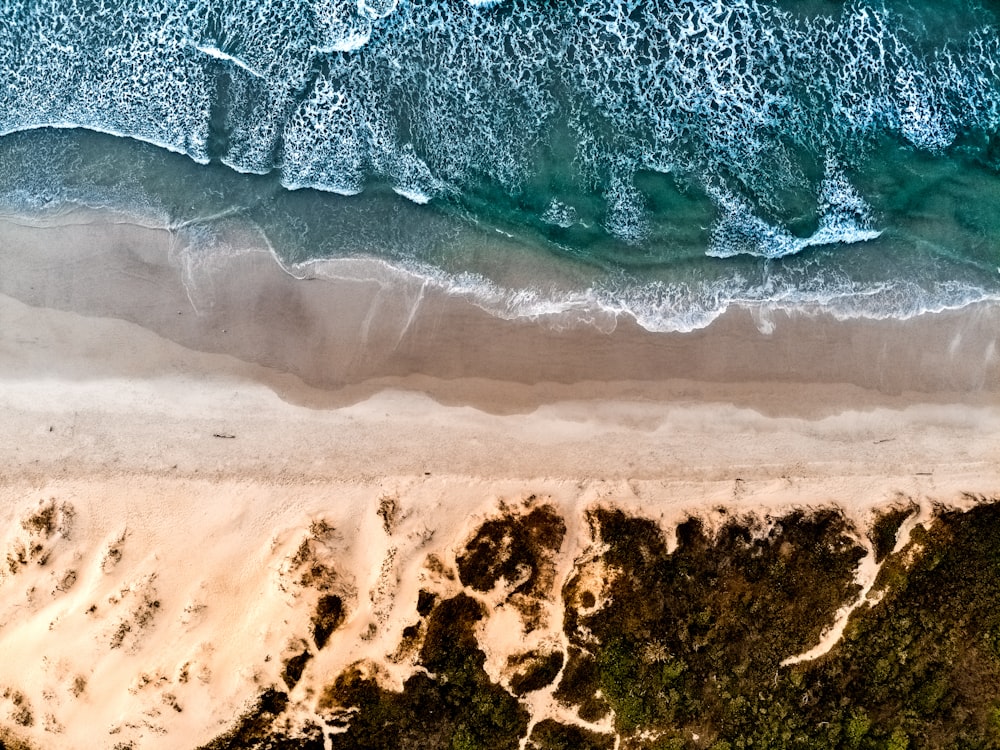 aerial photography beach