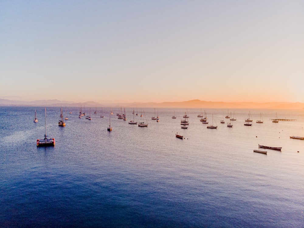 boats sailing on body of water