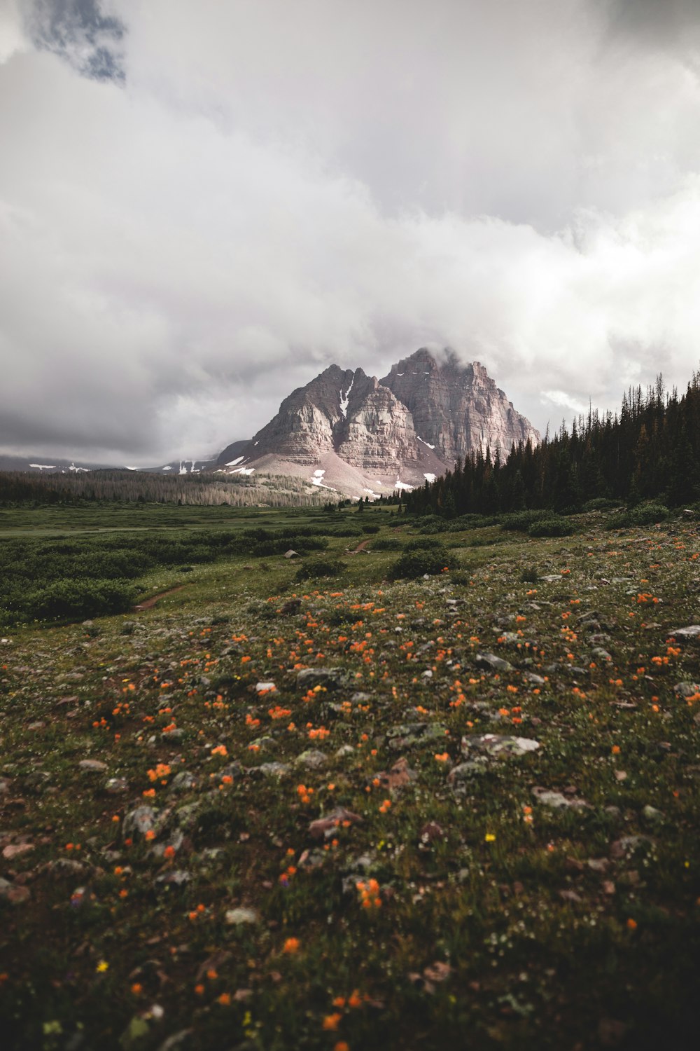 green field viewing mountain under white skies