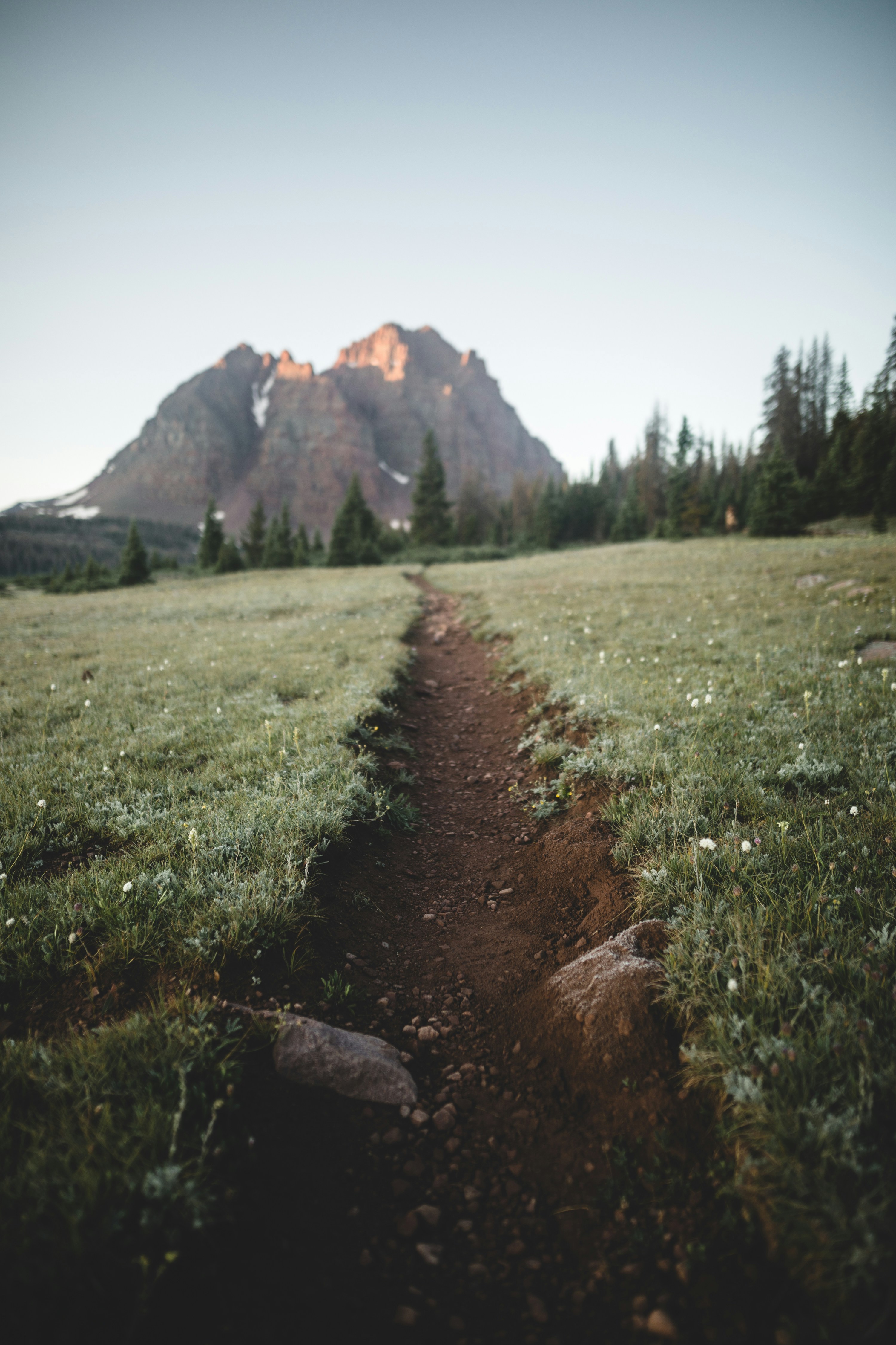 green field photo Free Ground Image on Unsplash